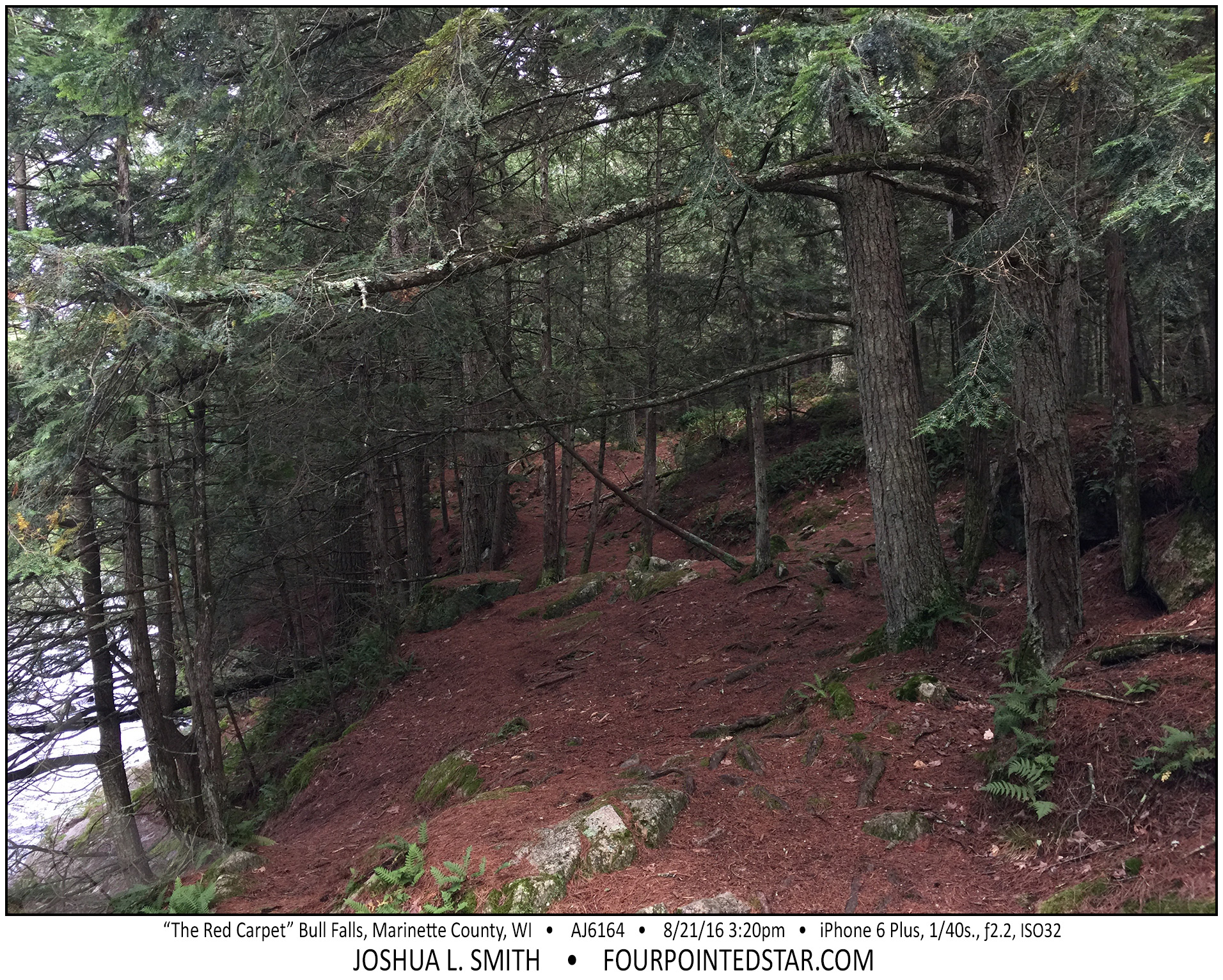 AJ6164 160821 152023