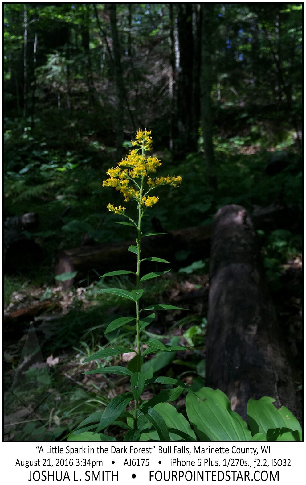 AJ6175 160821 153453