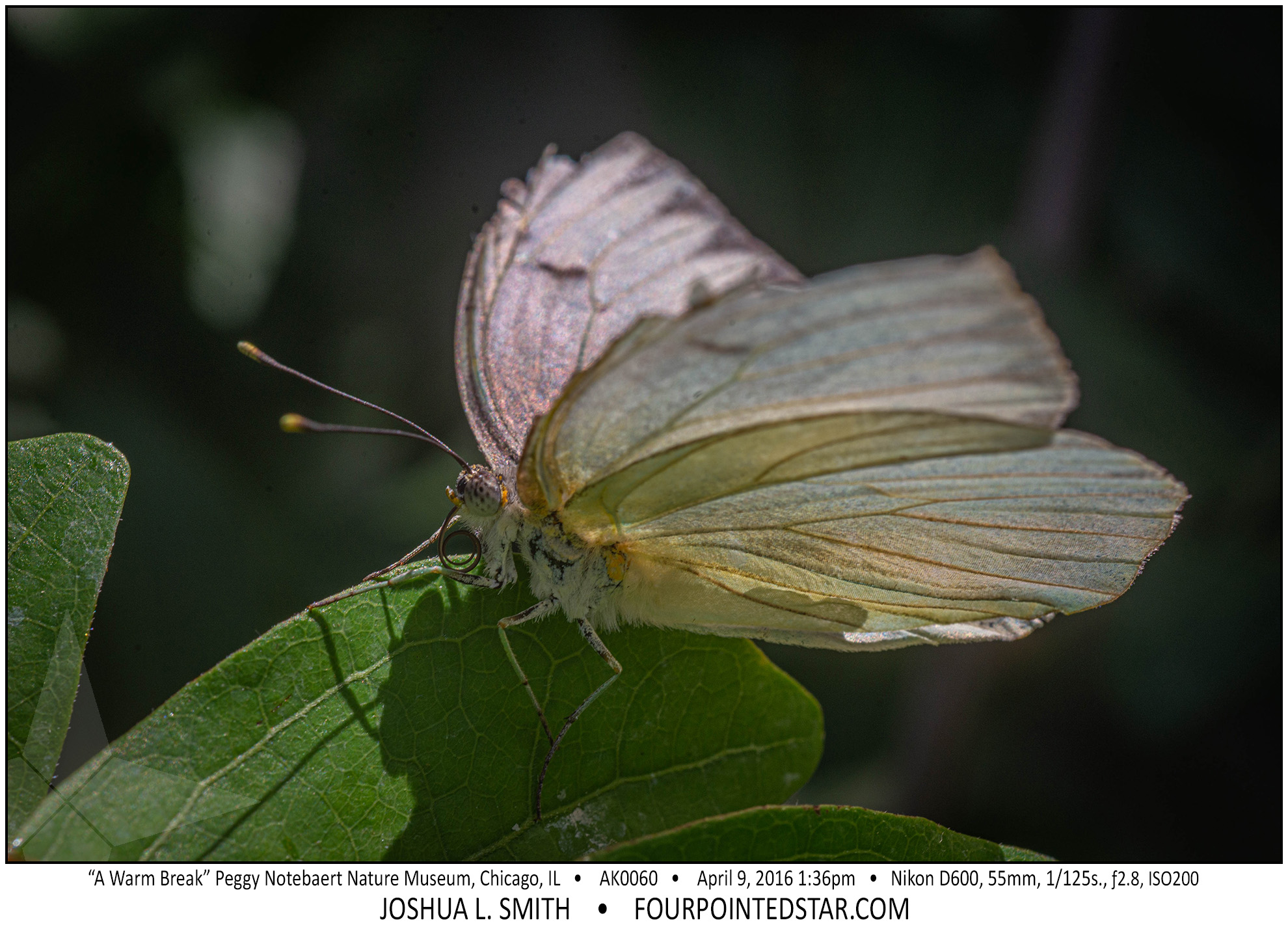 AK0040 160409 133630