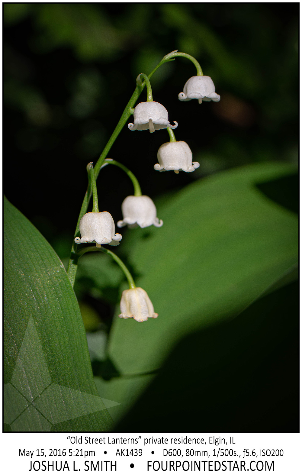 AK1439 160515 172150