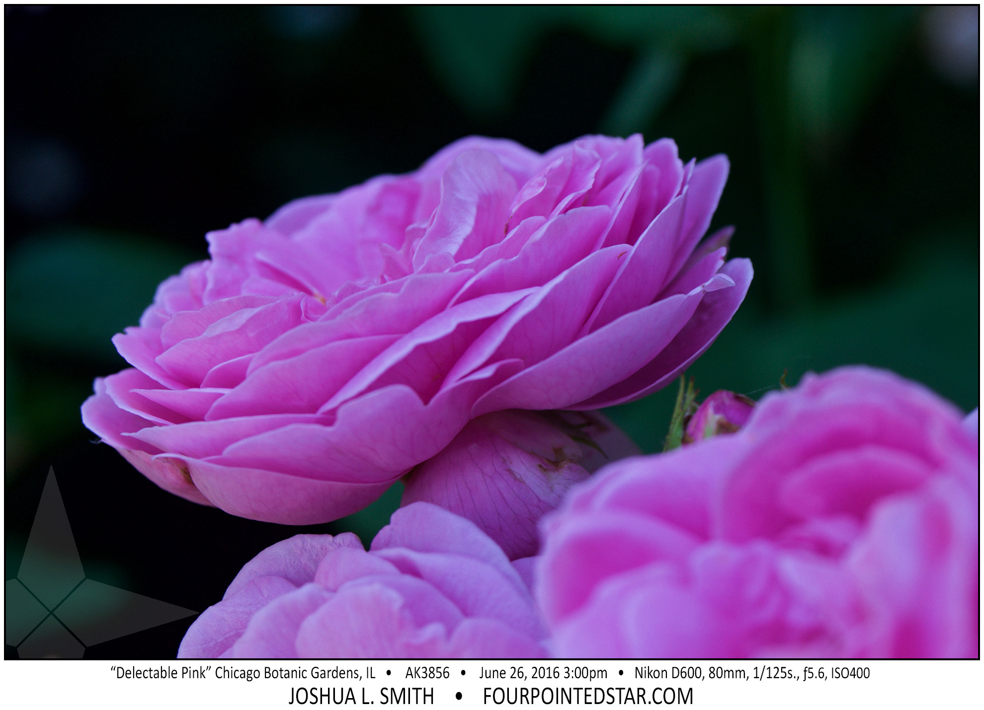 AK3856 160626 150021