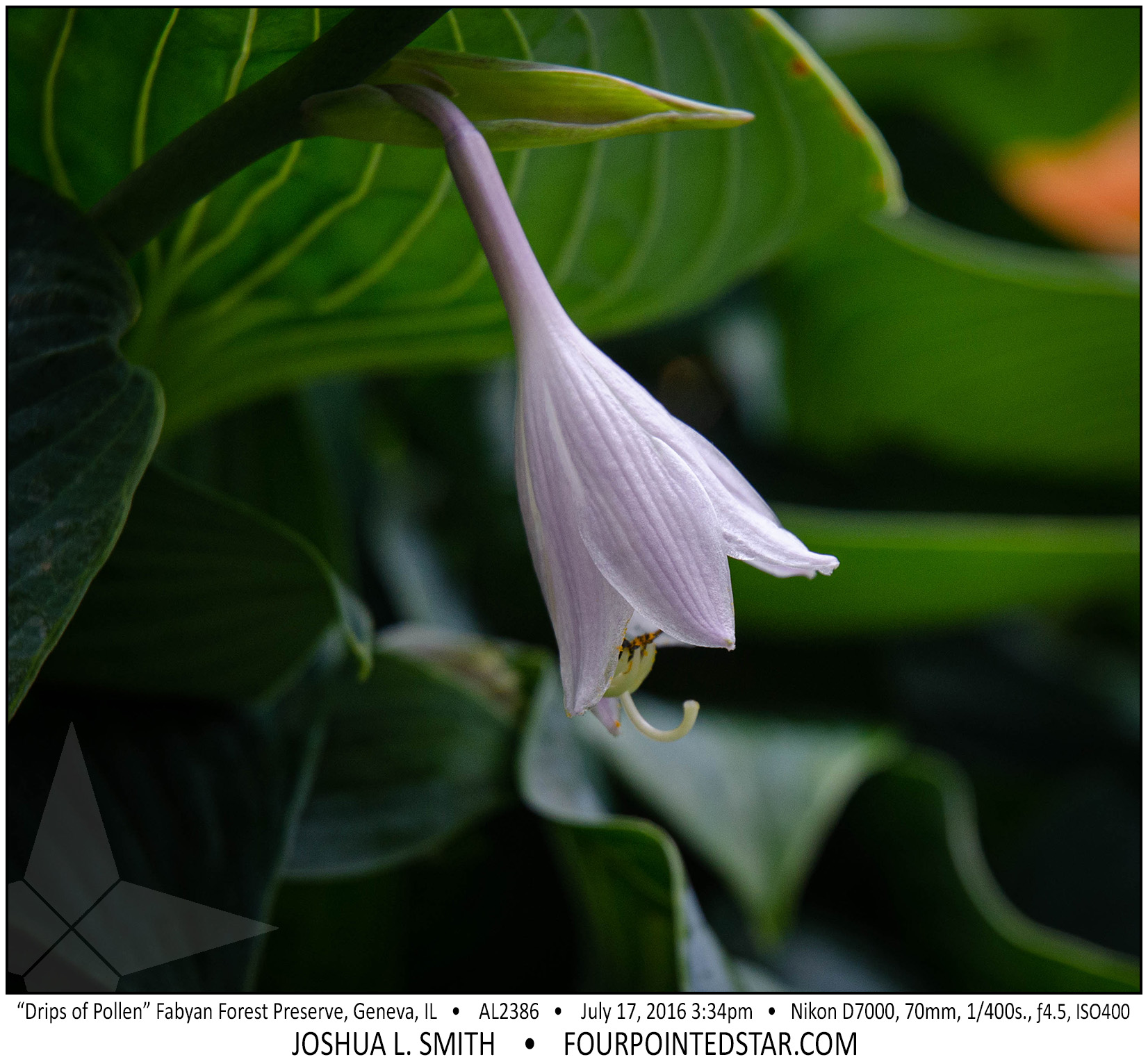 AL2386 160717 153451