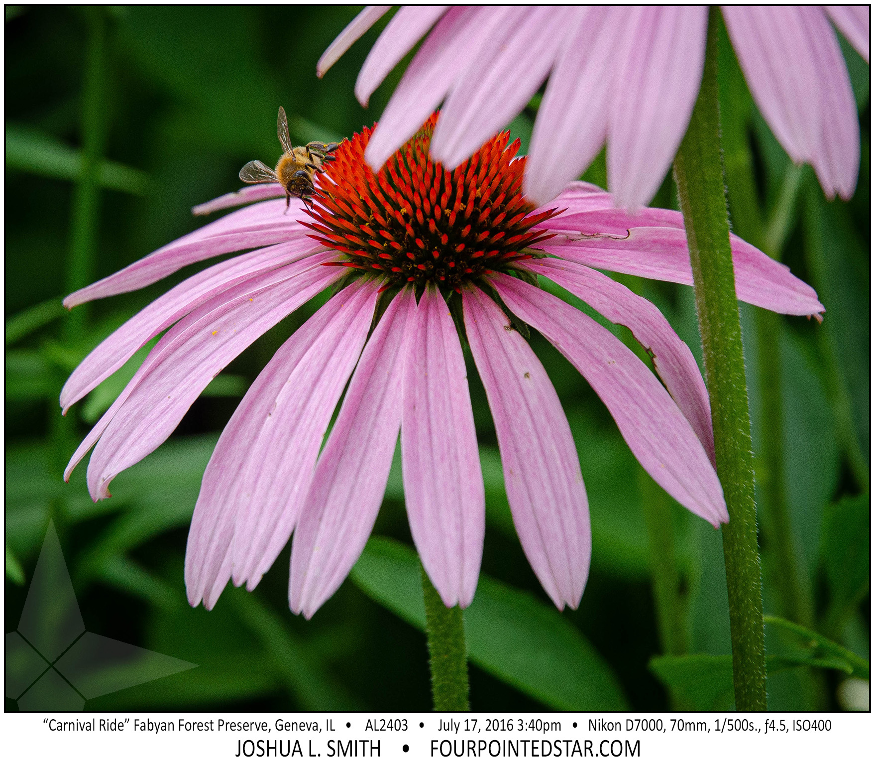 AL2403 160717 154001