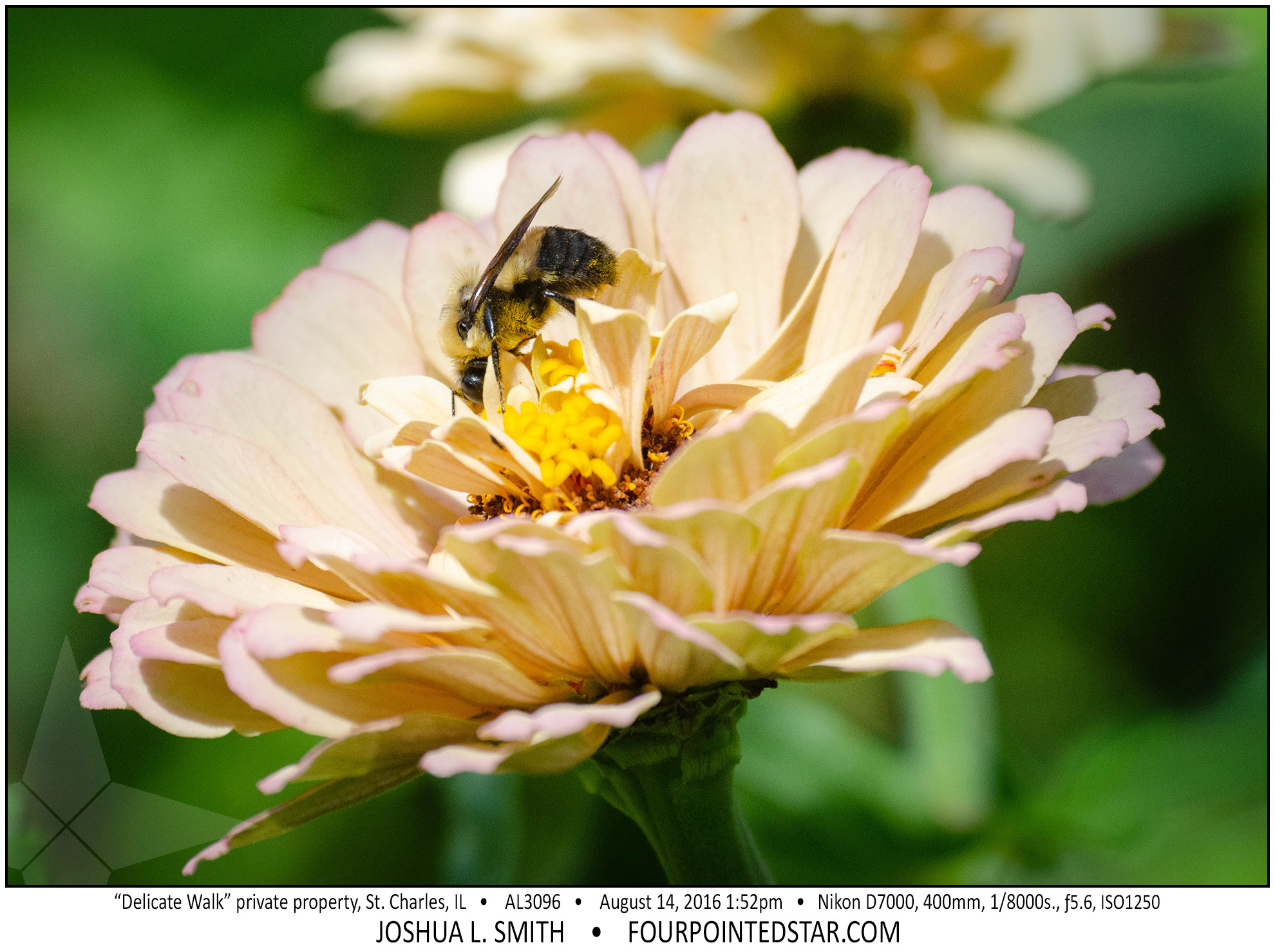 AL3130 160814 135921