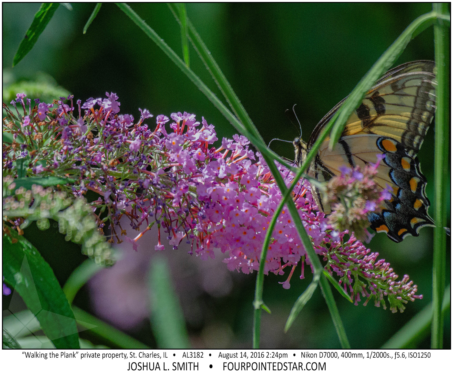 AL3182 160814 142443