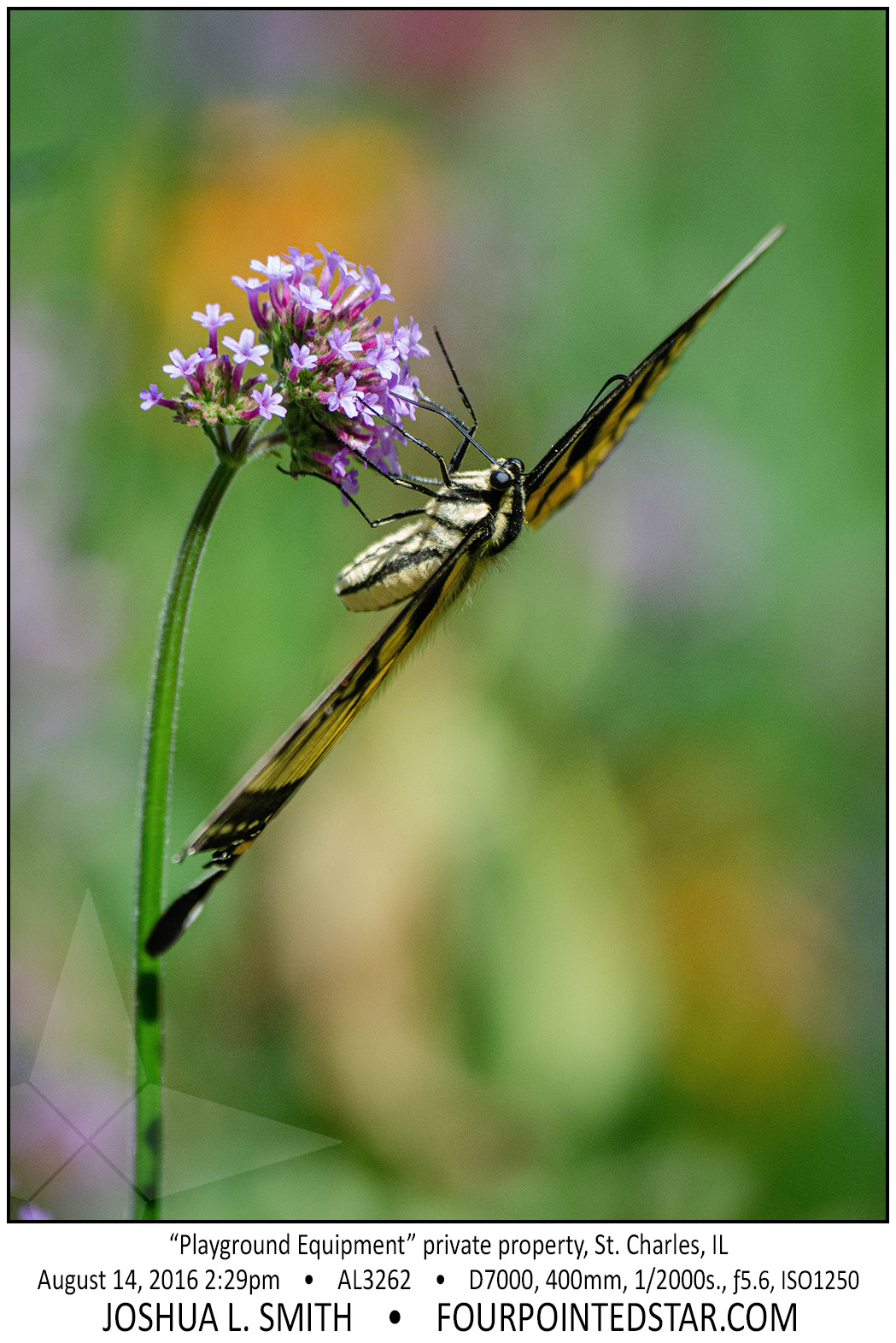 AL3262 160814 142948