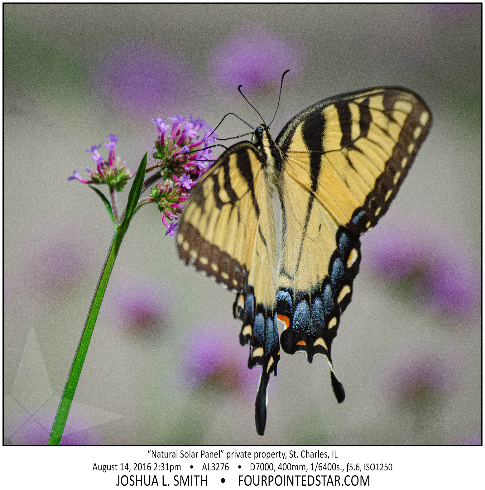 AL3276 160814 143114