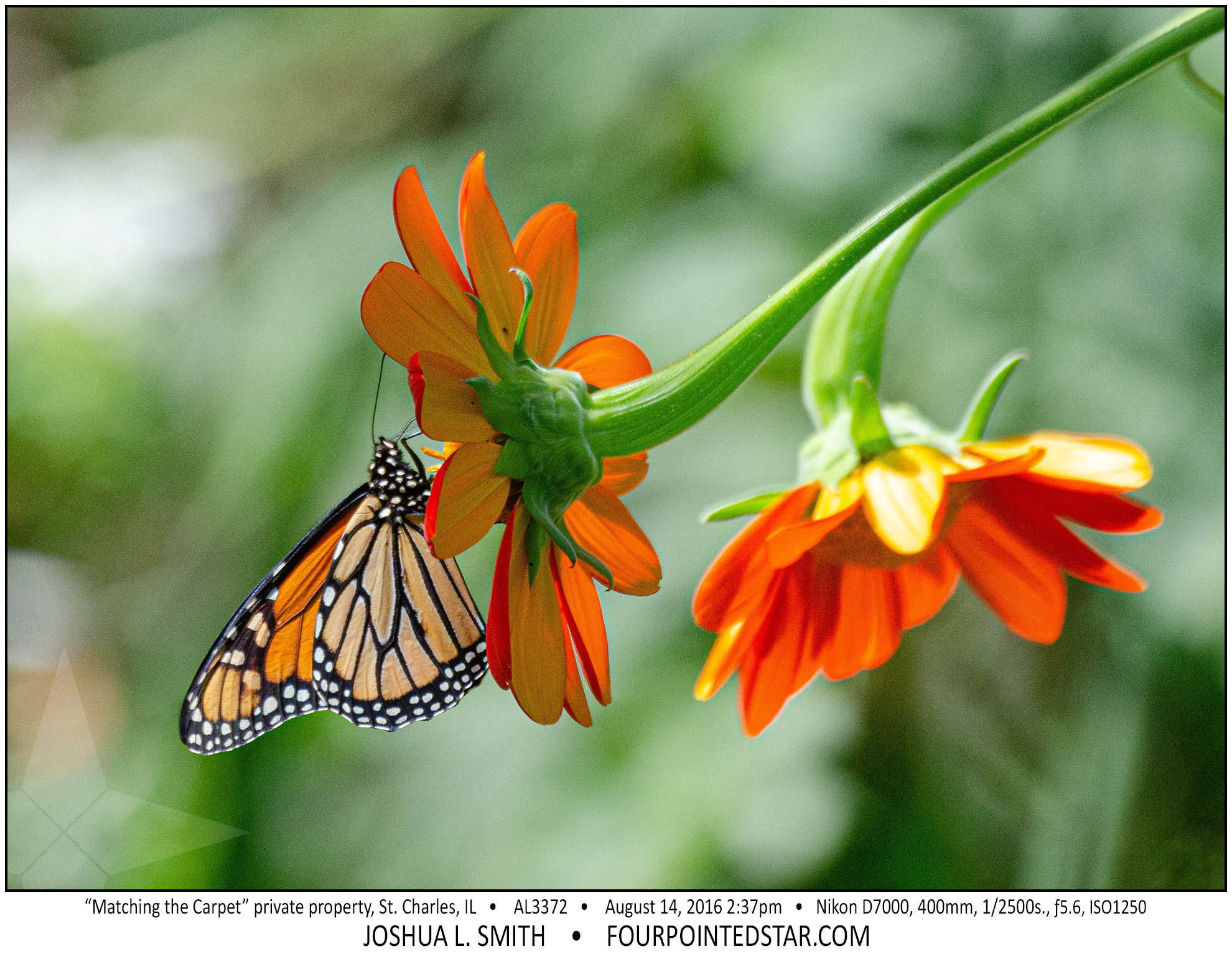 AL3372 160814 143714