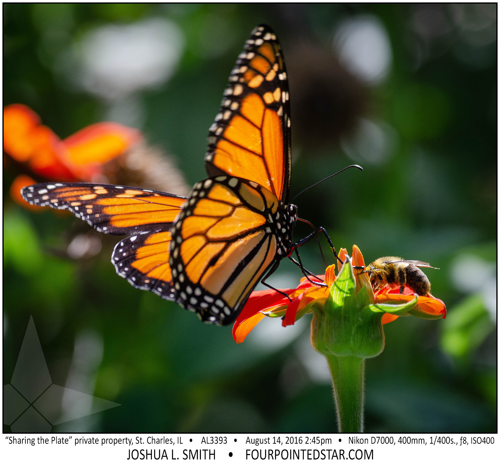 AL3393 160814 144556