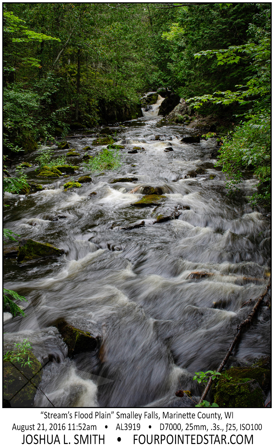 AL3919 160821 115211