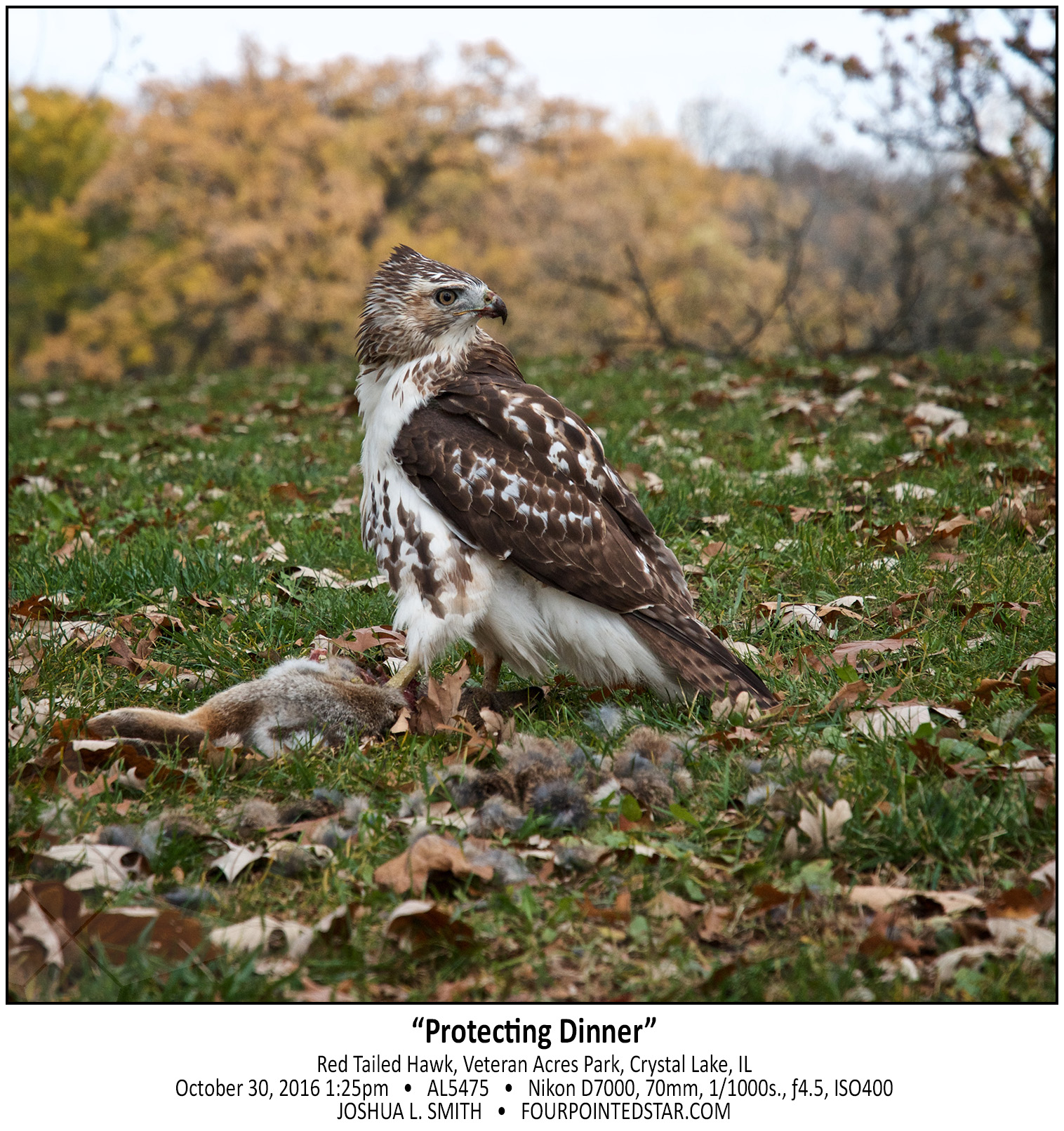 AL5475 161030 132554