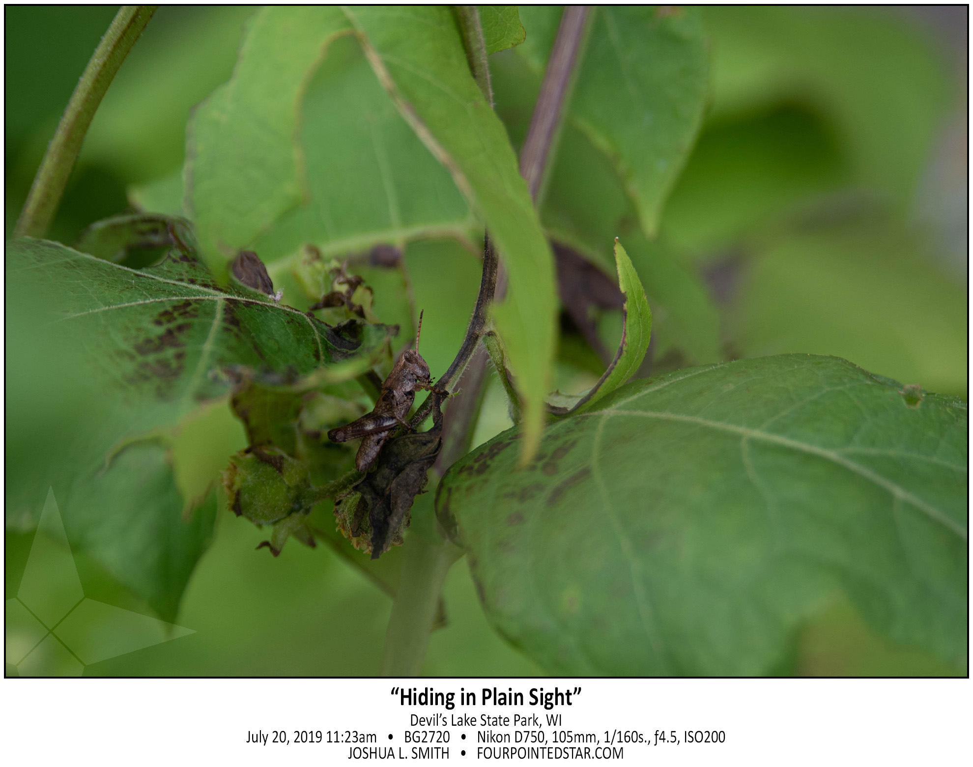 AP2720 190720 112313