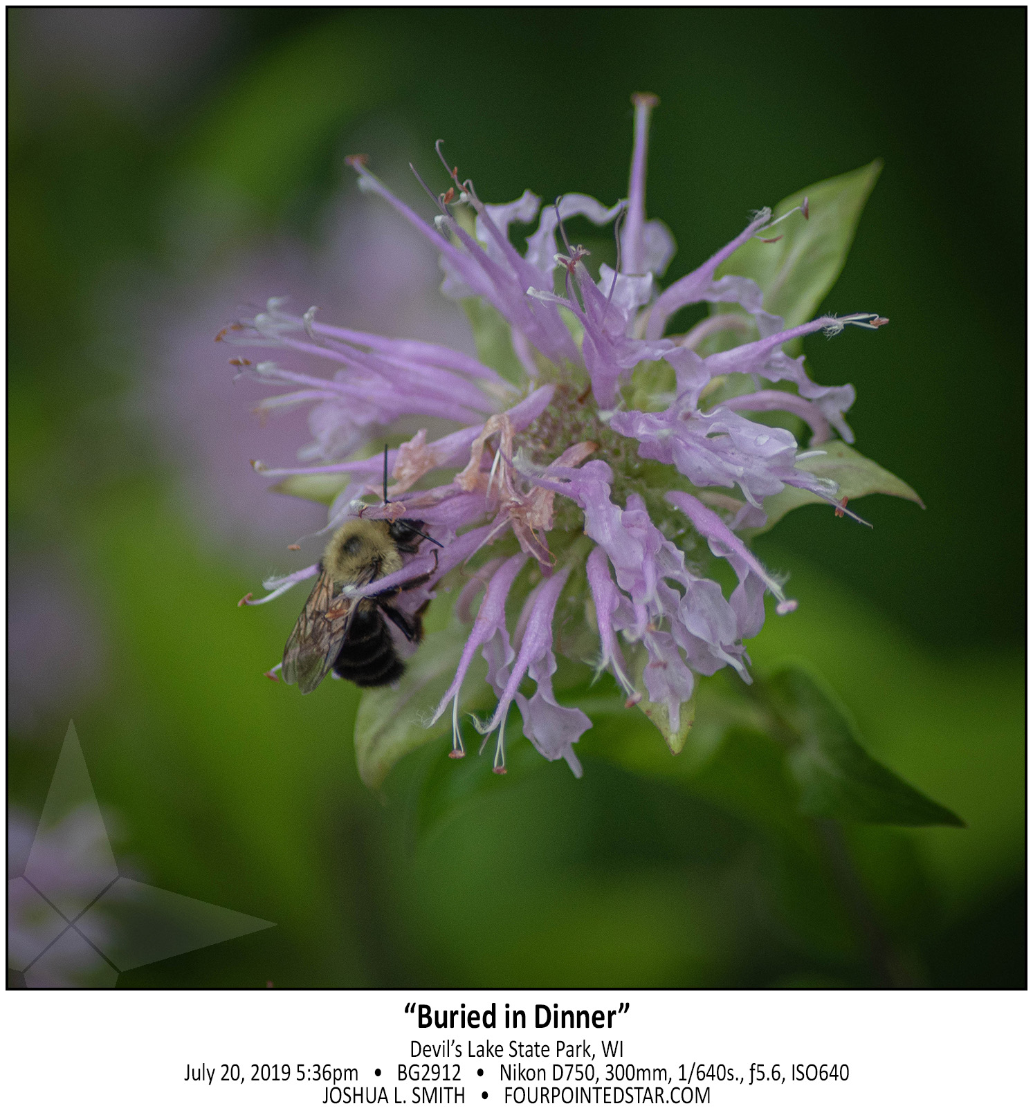 AP2912 190720 173603