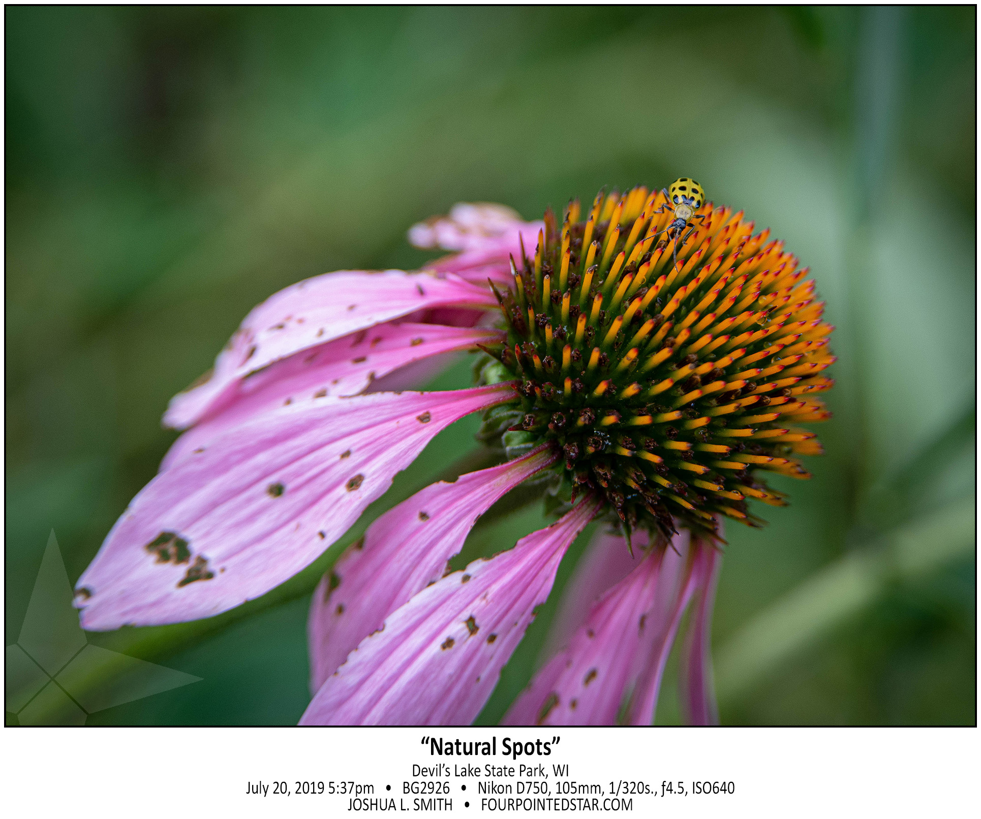 AP2926 190720 173752