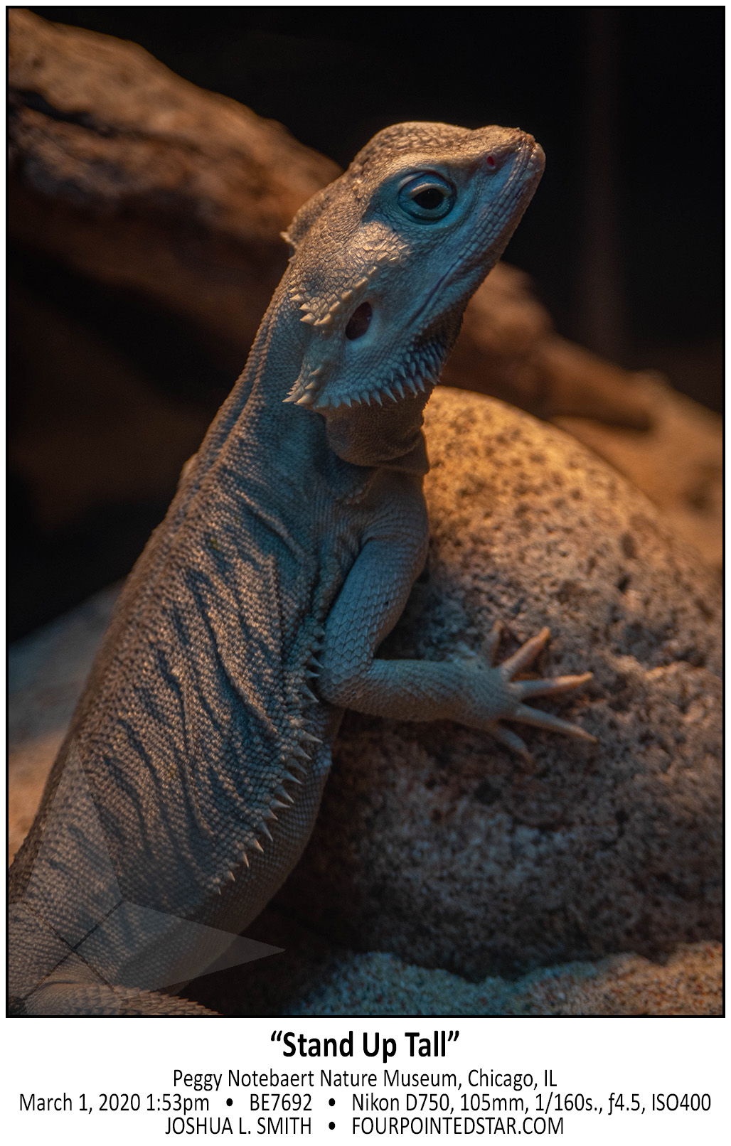 BE7692 200301 135331