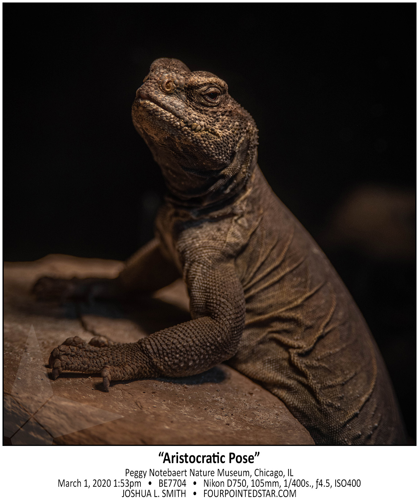 BE7704 200301 135359