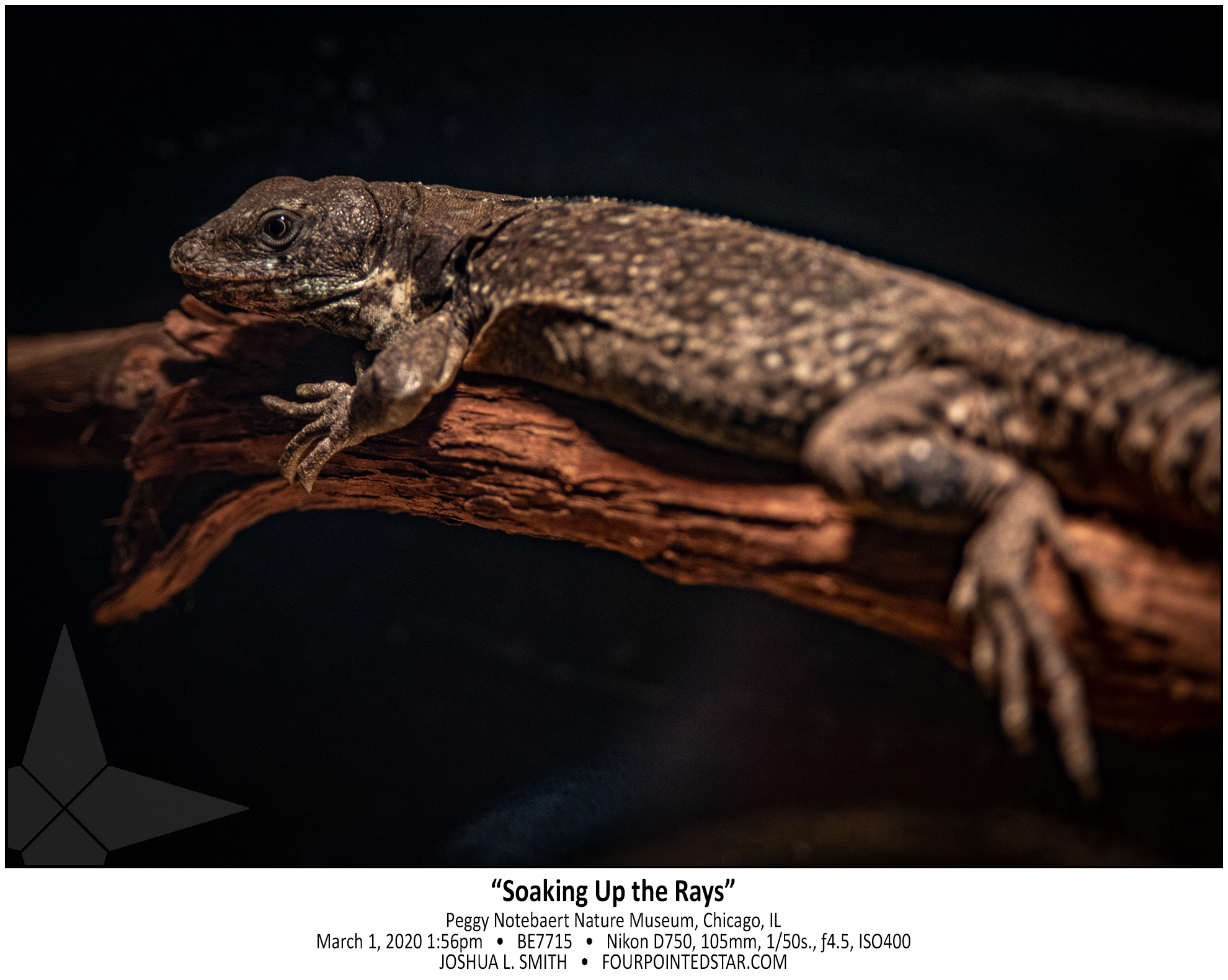 BE7715 200301 135623