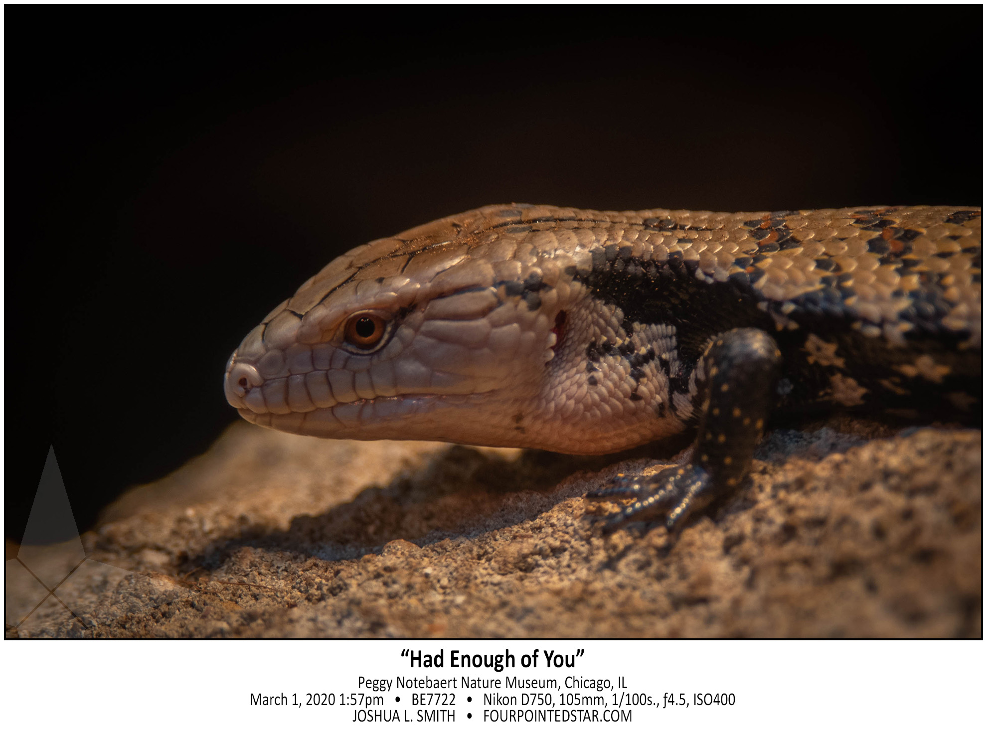 BE7722 200301 135732