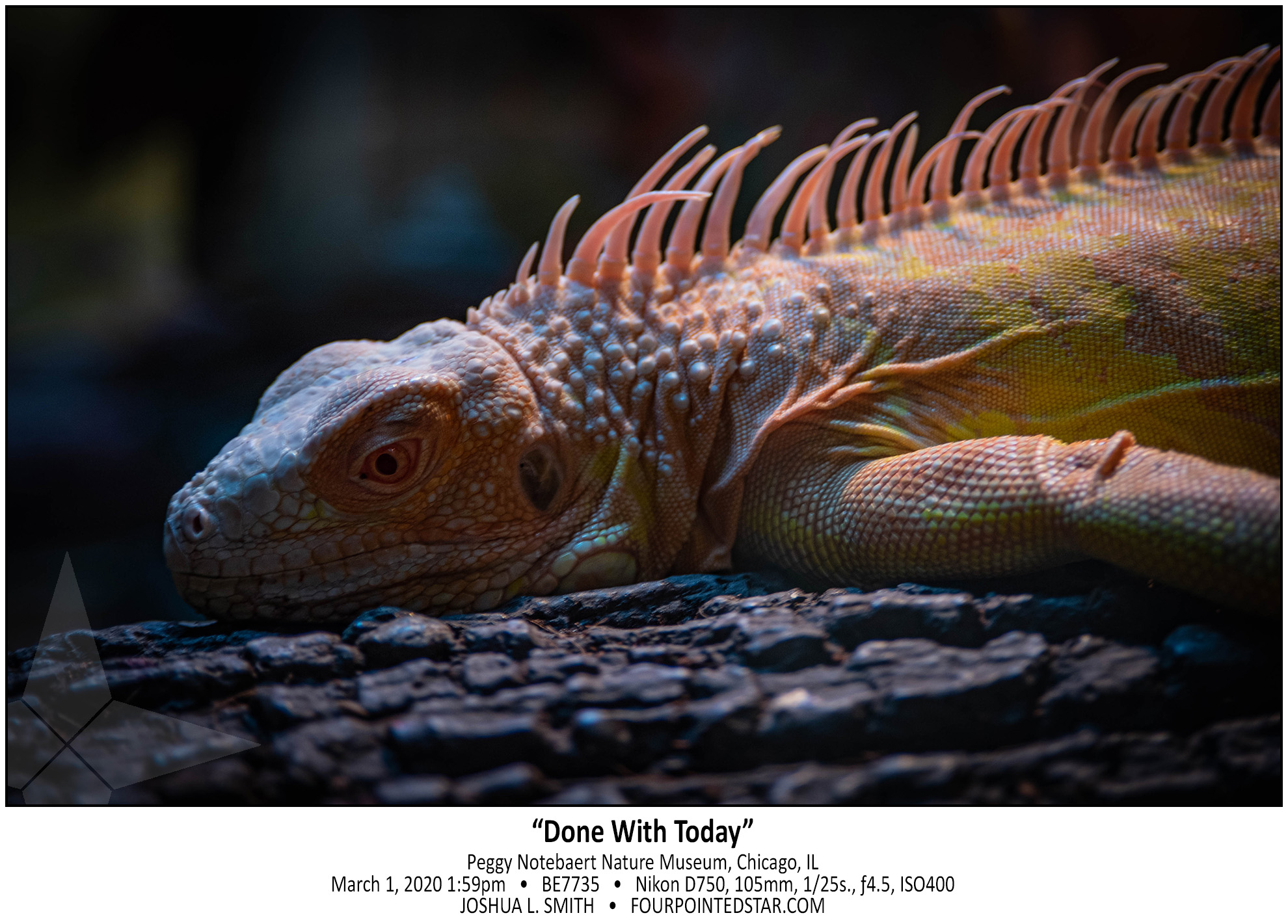 BE7735 200301 135913