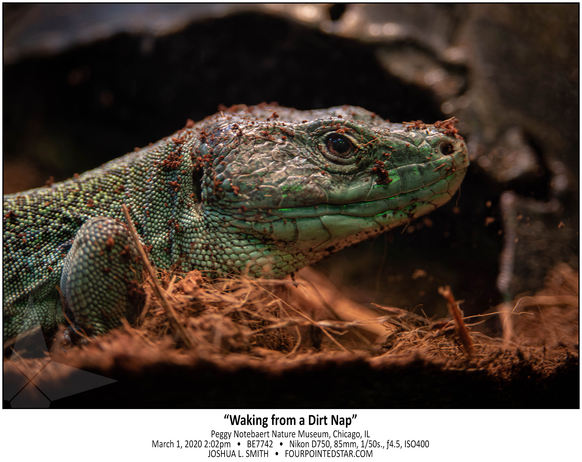 BE7742 200301 140259