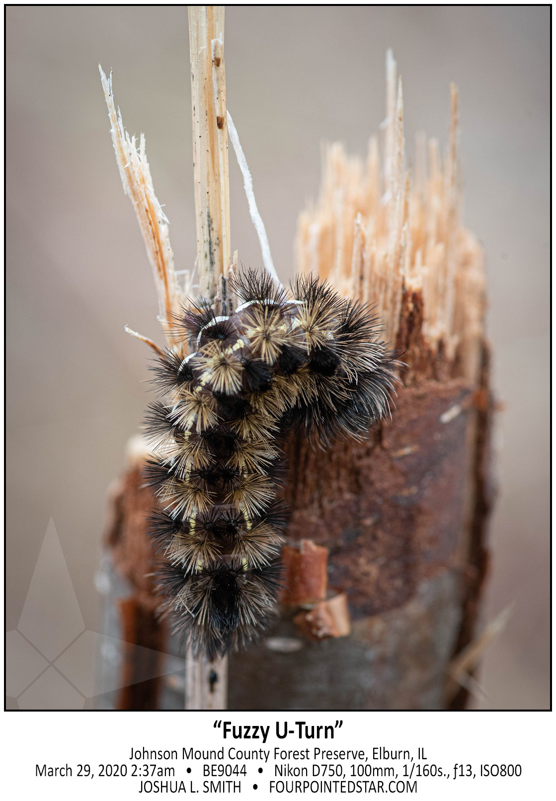 BE9044 200329 143753