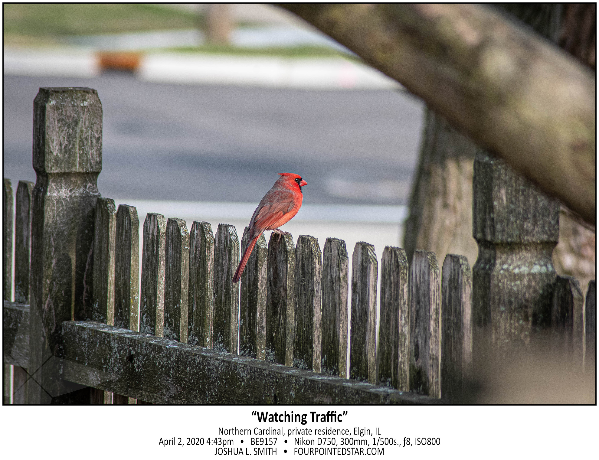 BE9157 200402 164332