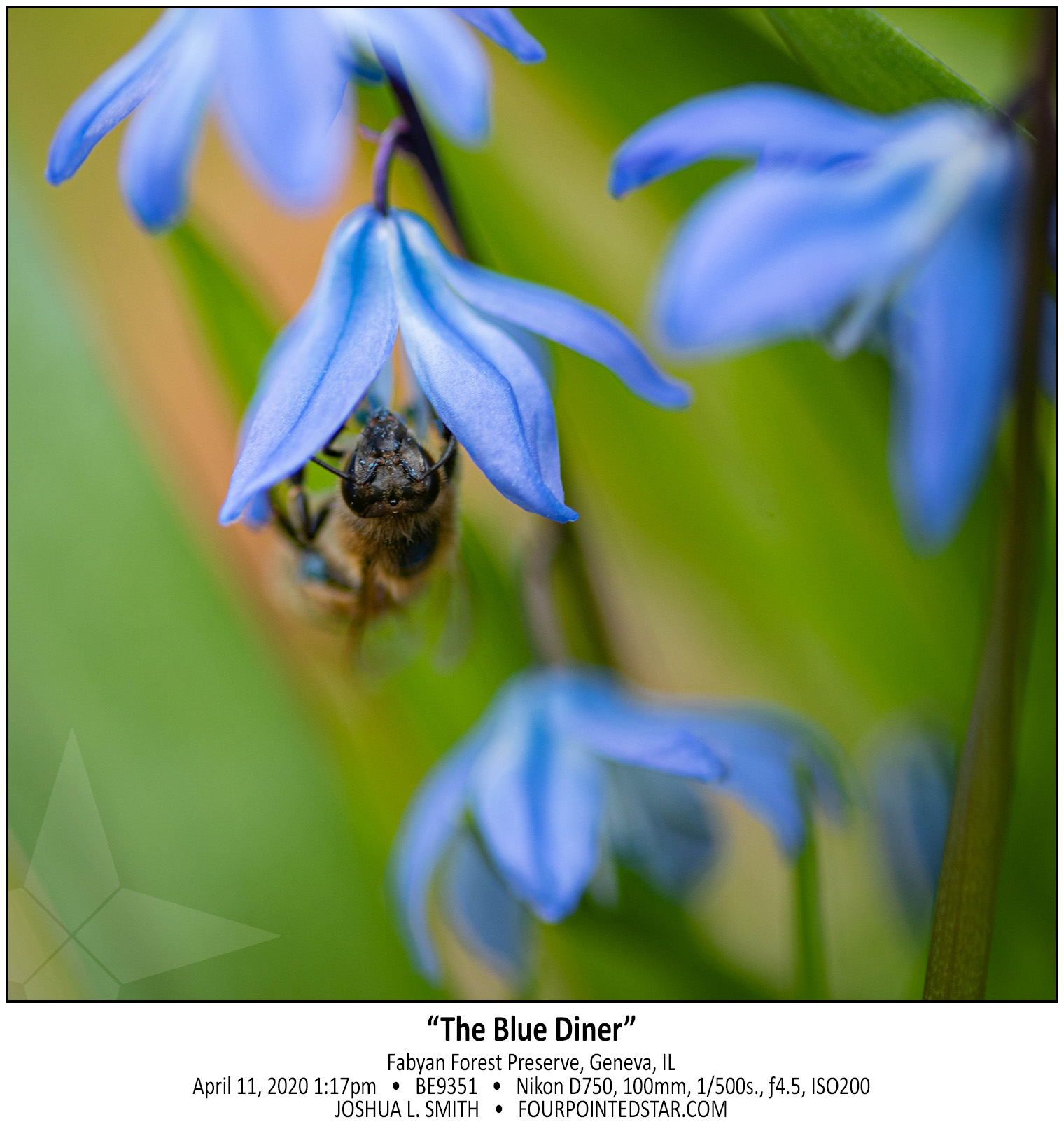 BE9351 200411 131738