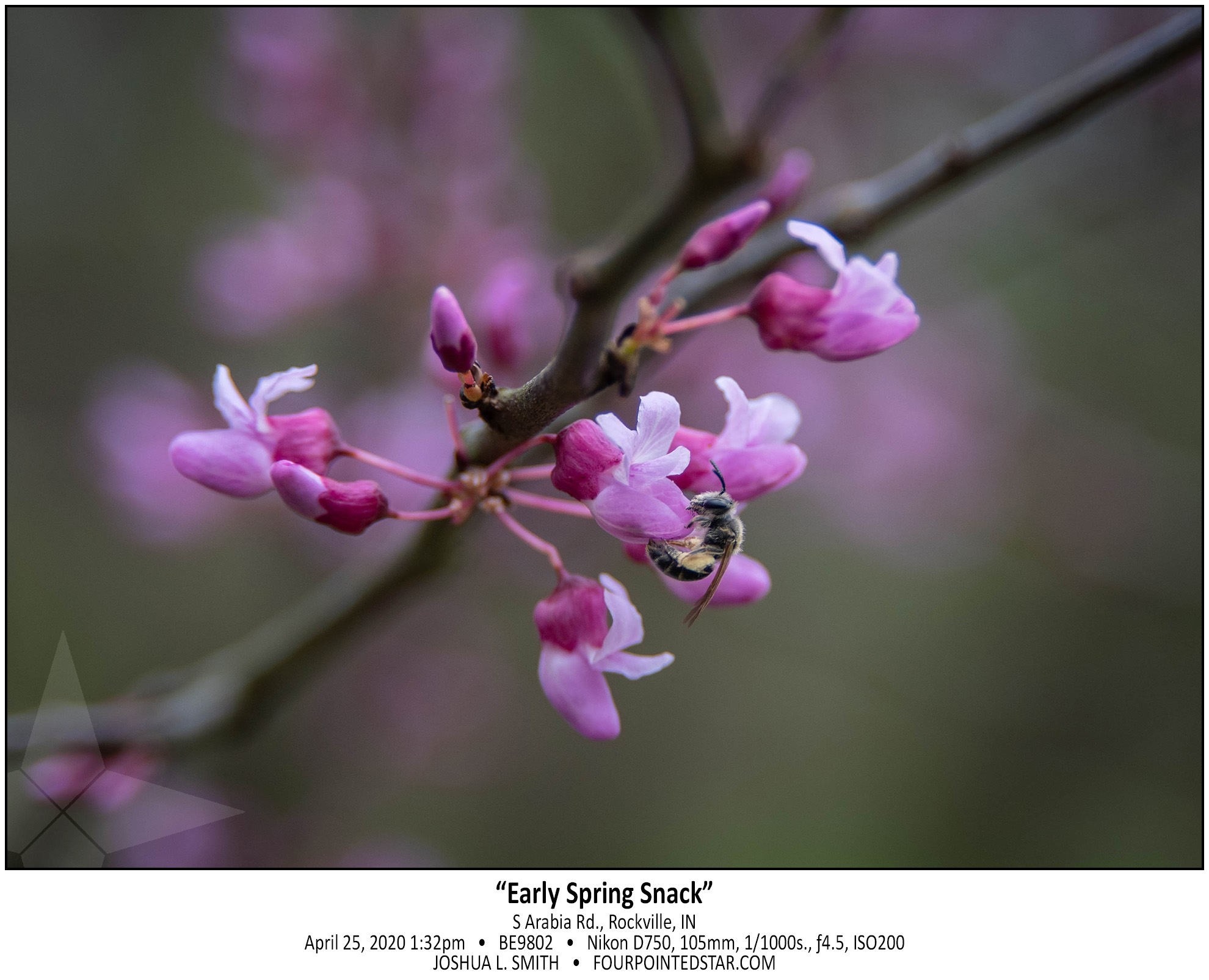 BE9802 200425 133220