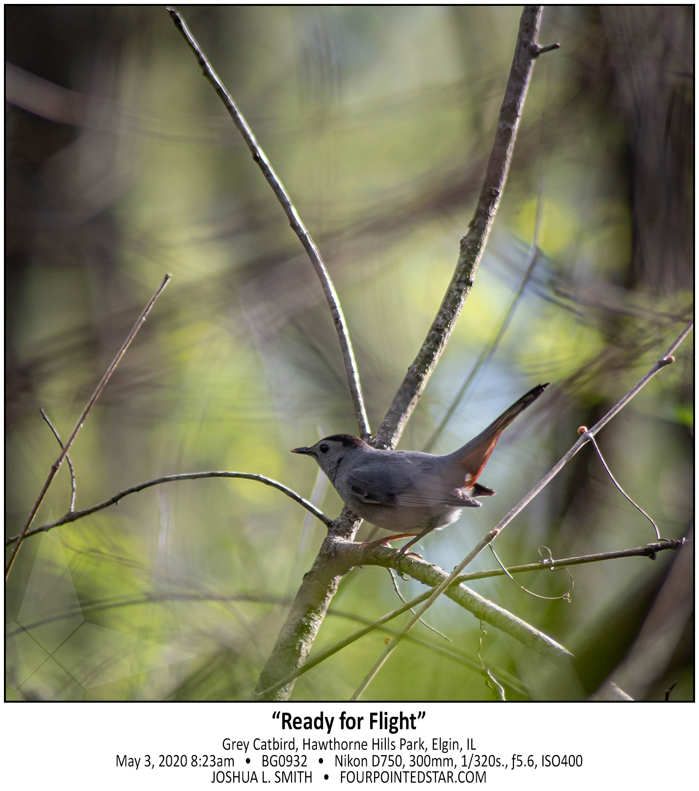 BG0932 200520 073806