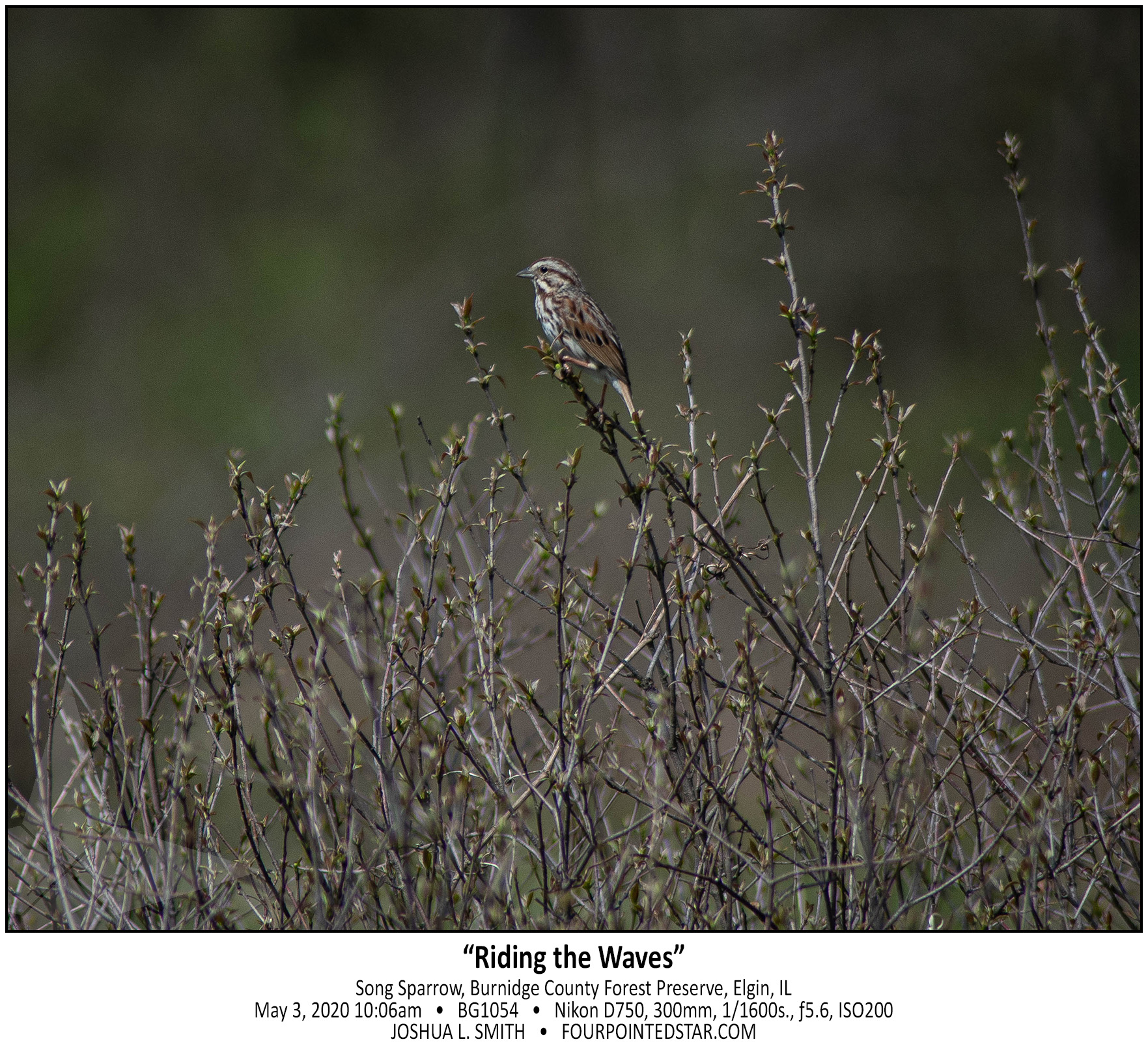 BG1054 200503 100640