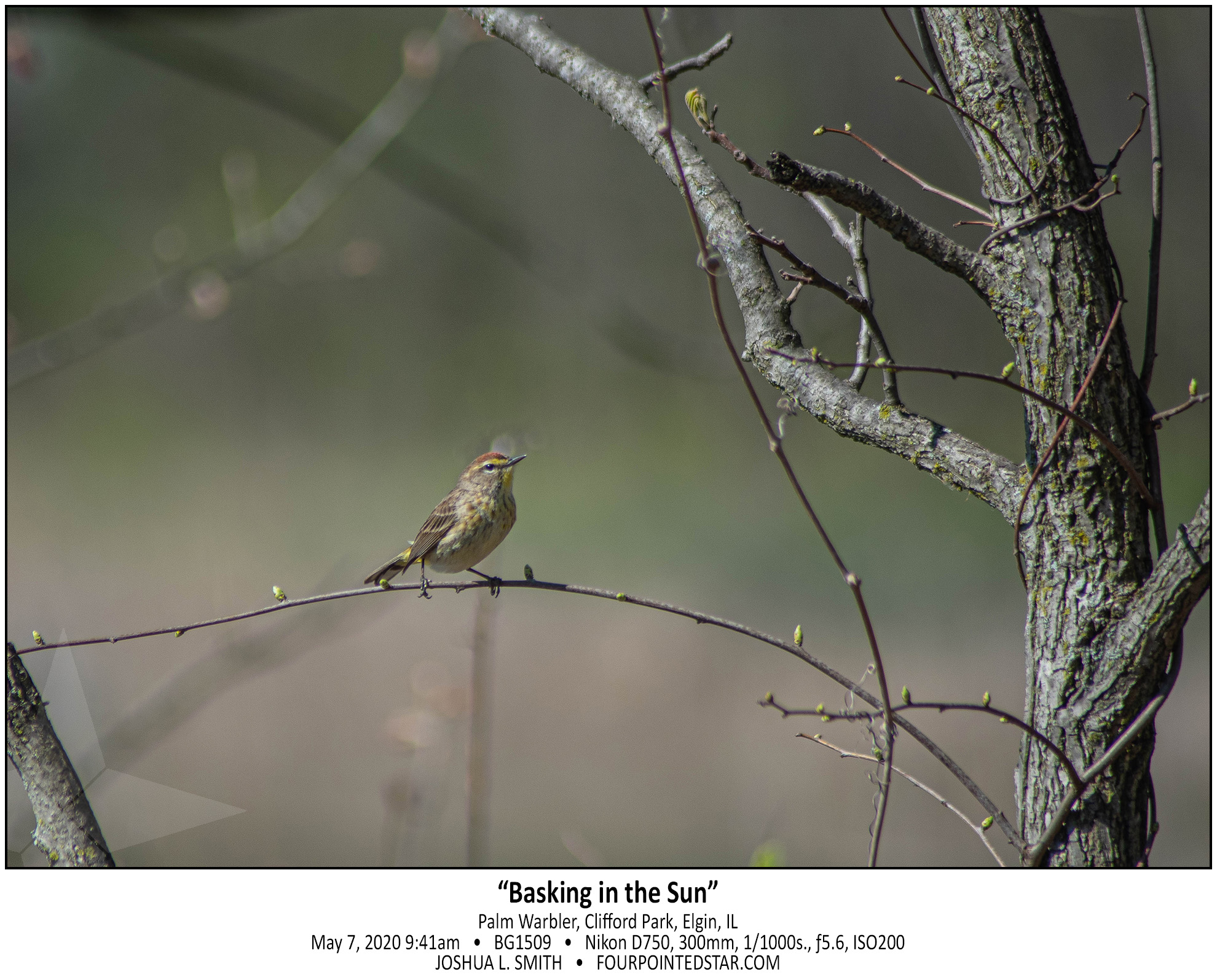 BG1509 200507 094111