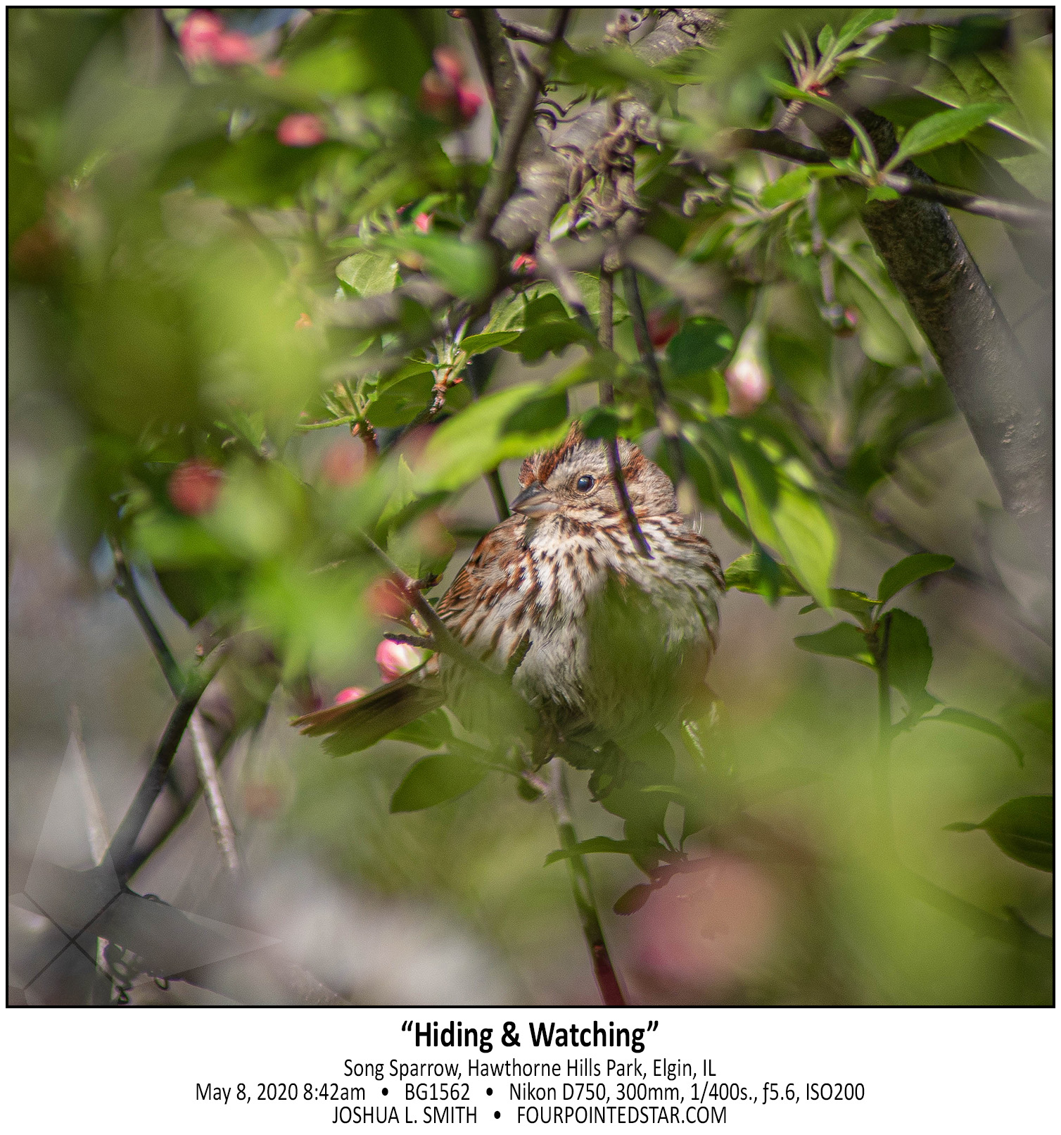 BG1562 200508 084228