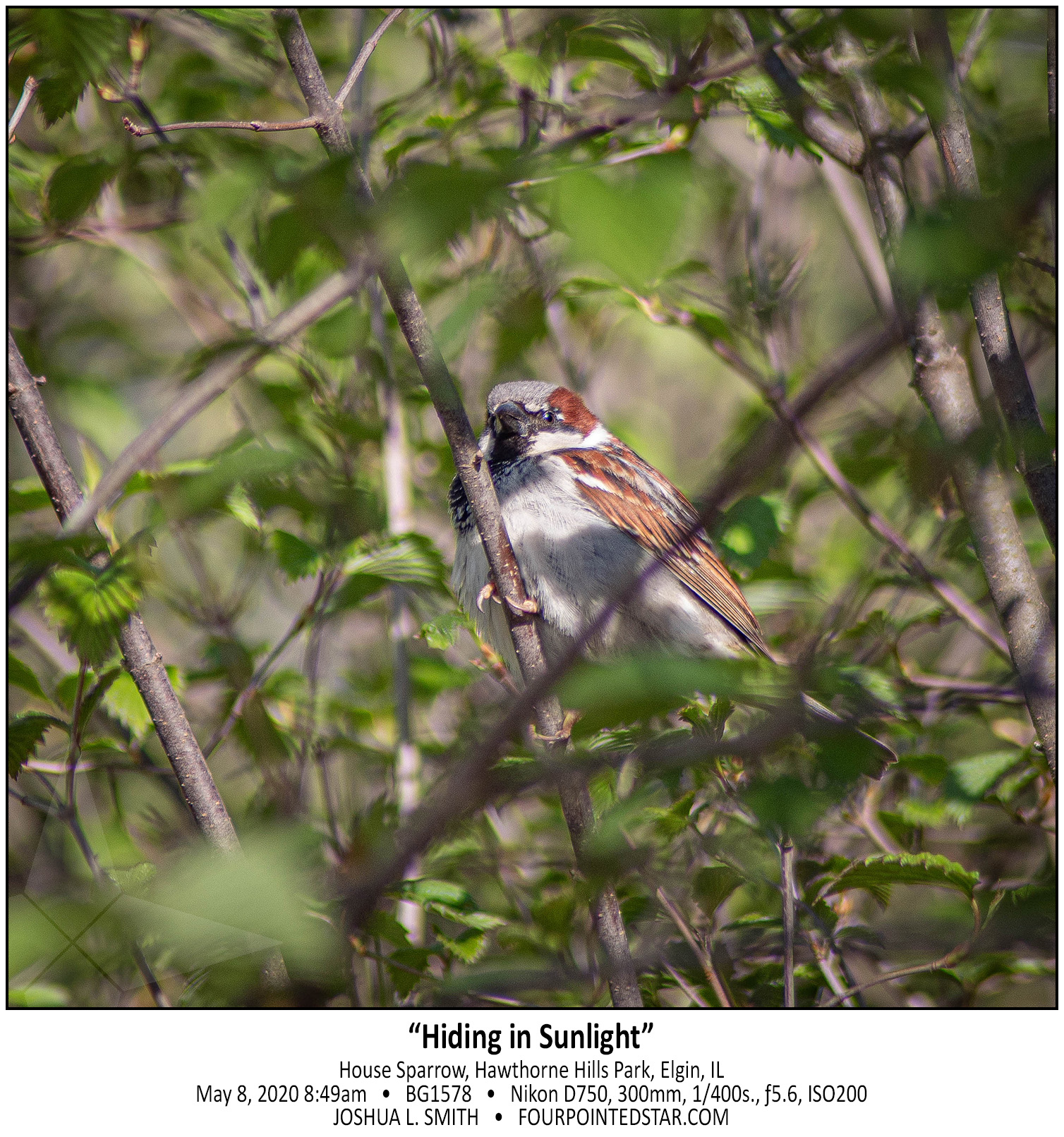 BG1578 200508 084907