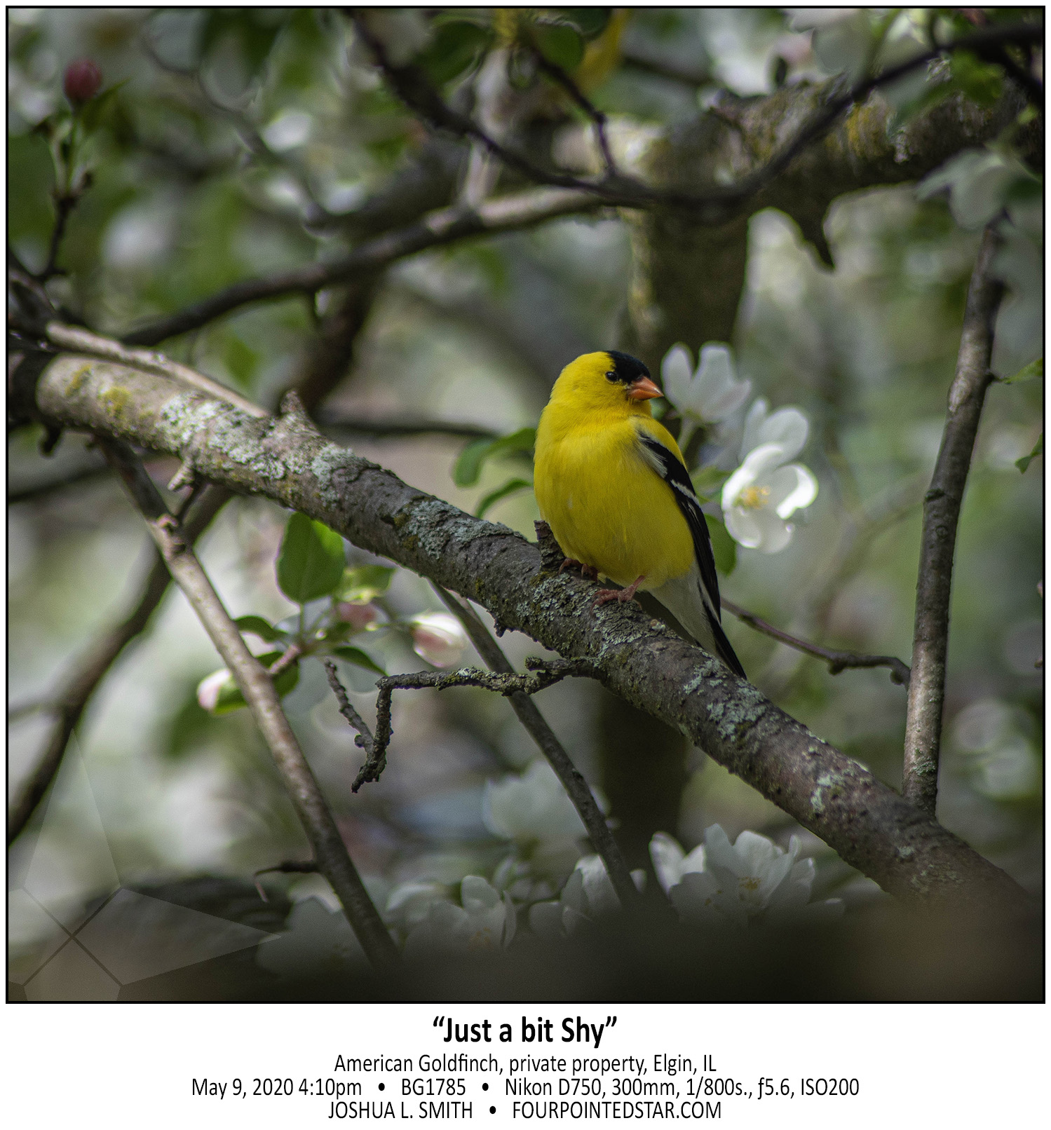 BG1785 200509 161036