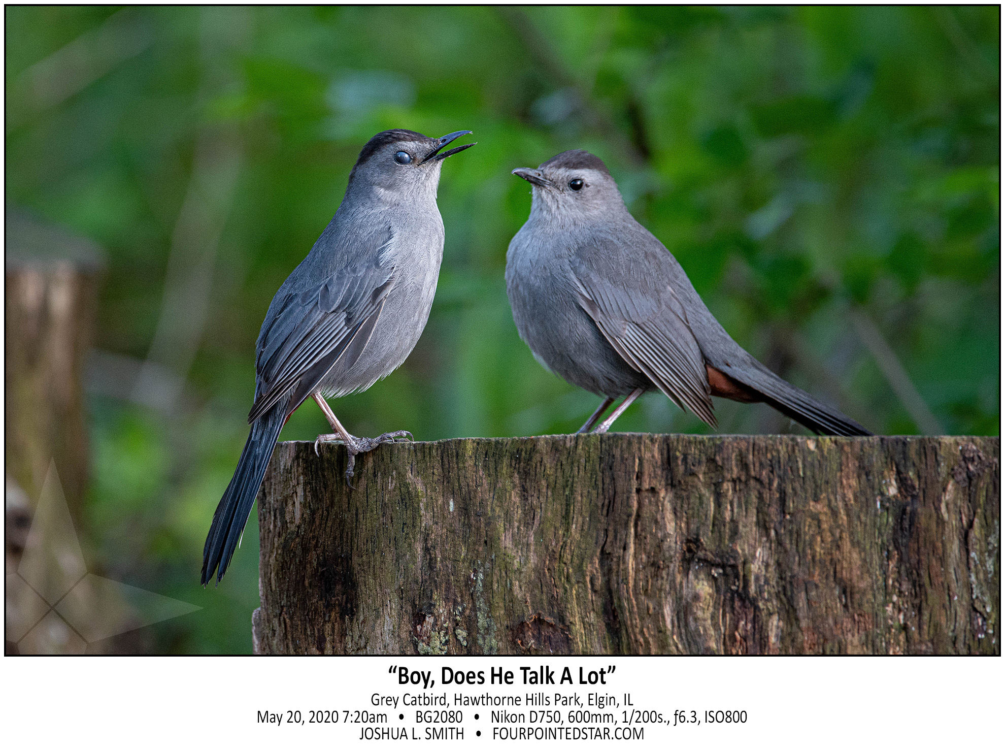 BG2080 200520 072046