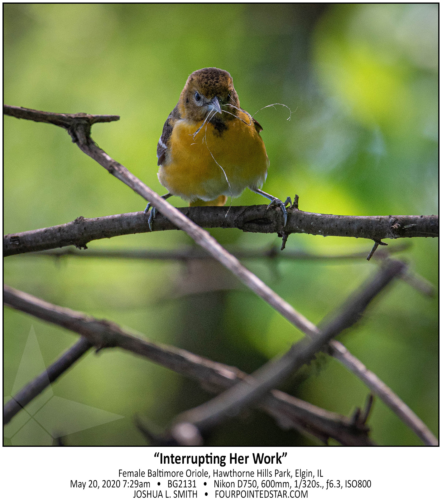 BG2131 200520 072942