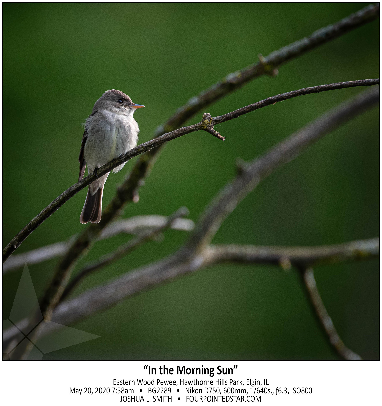 BG2289 200520 075847