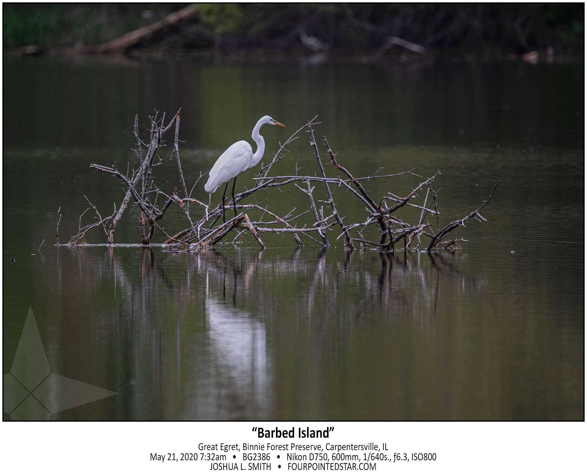 BG2386 200521 073259