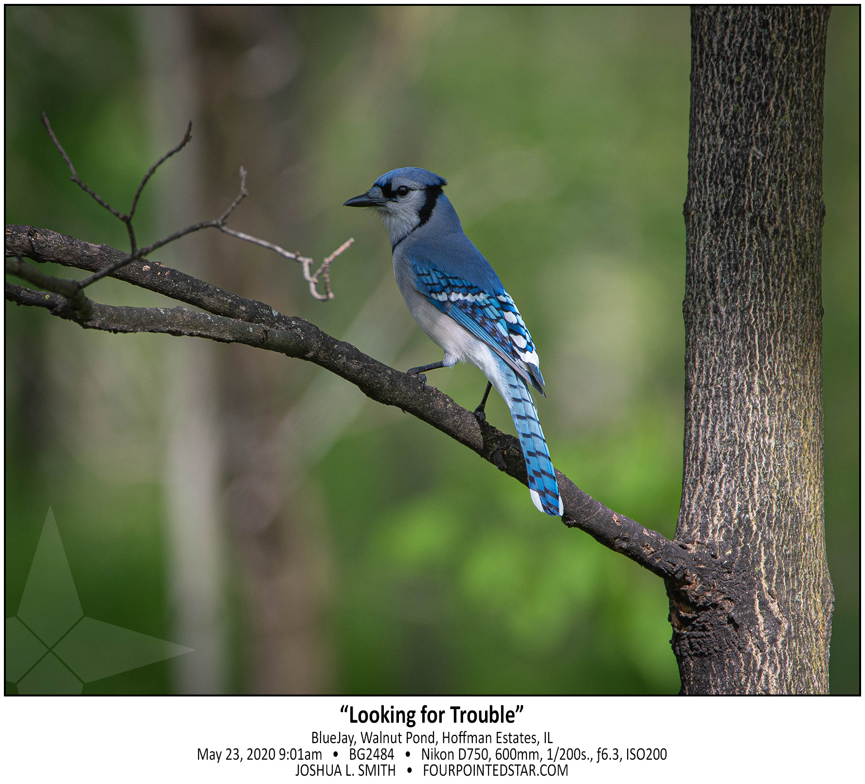 BG2484 200523 090103