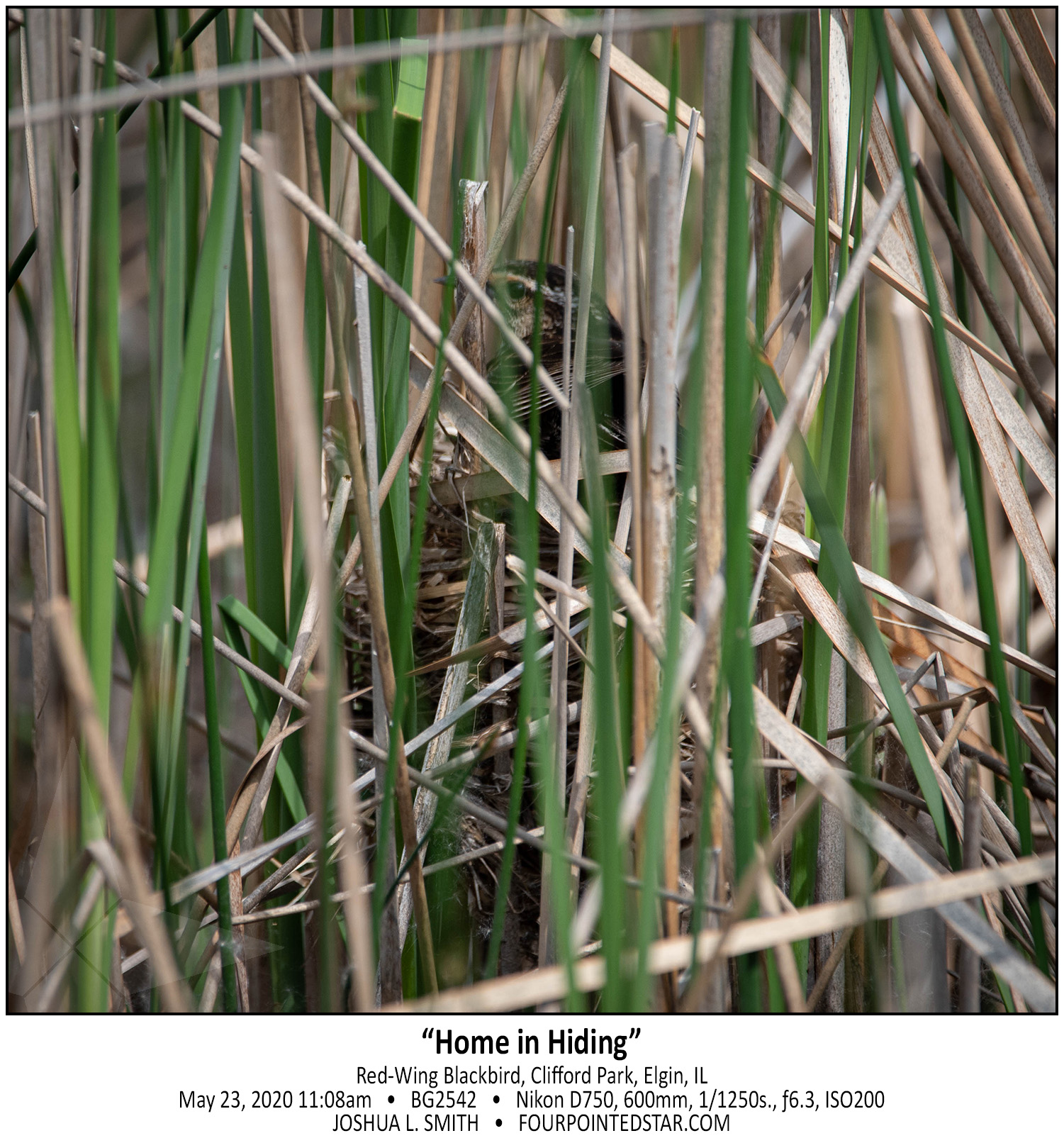 BG2542 200523 110816