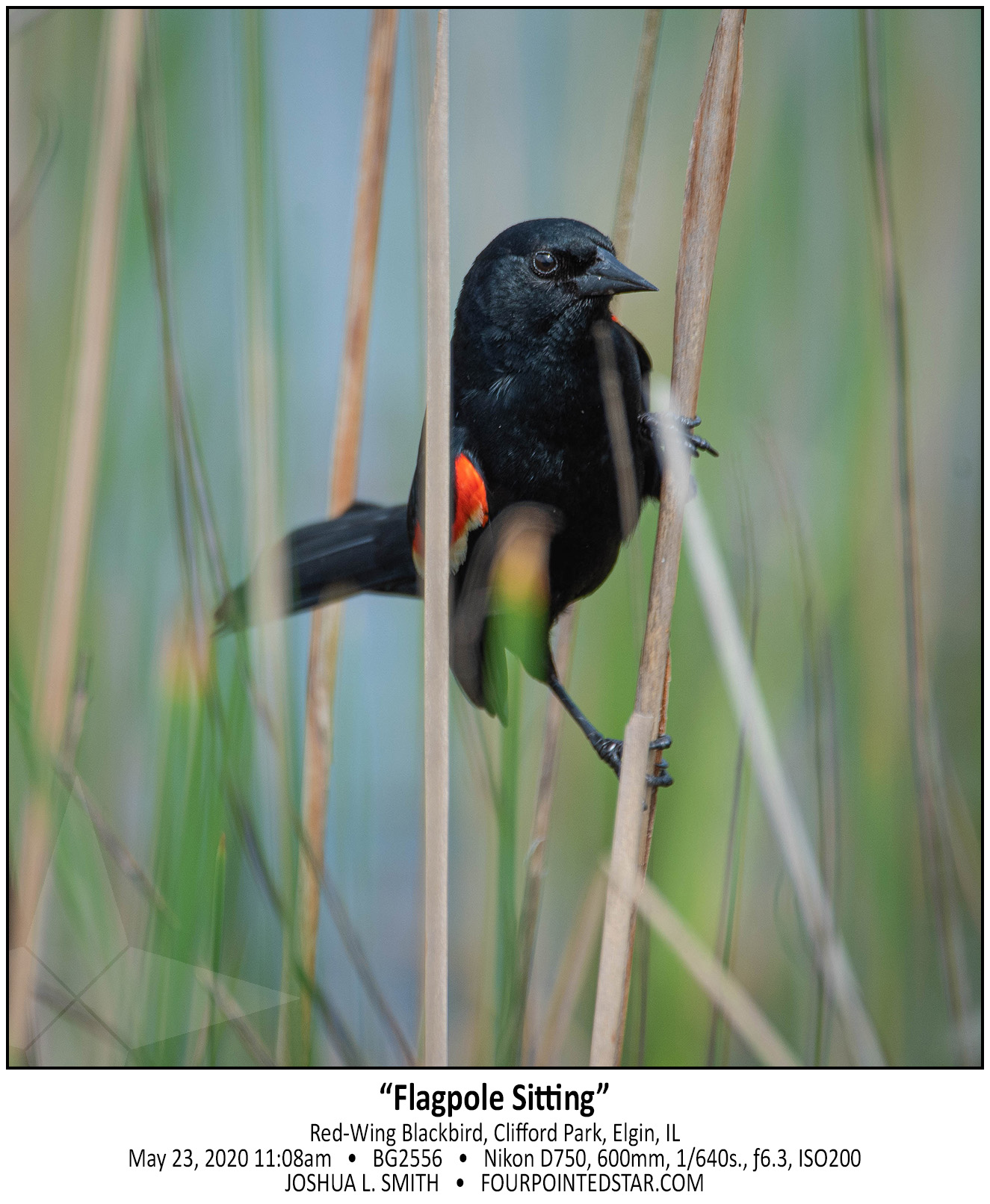 BG2556 200523 110831