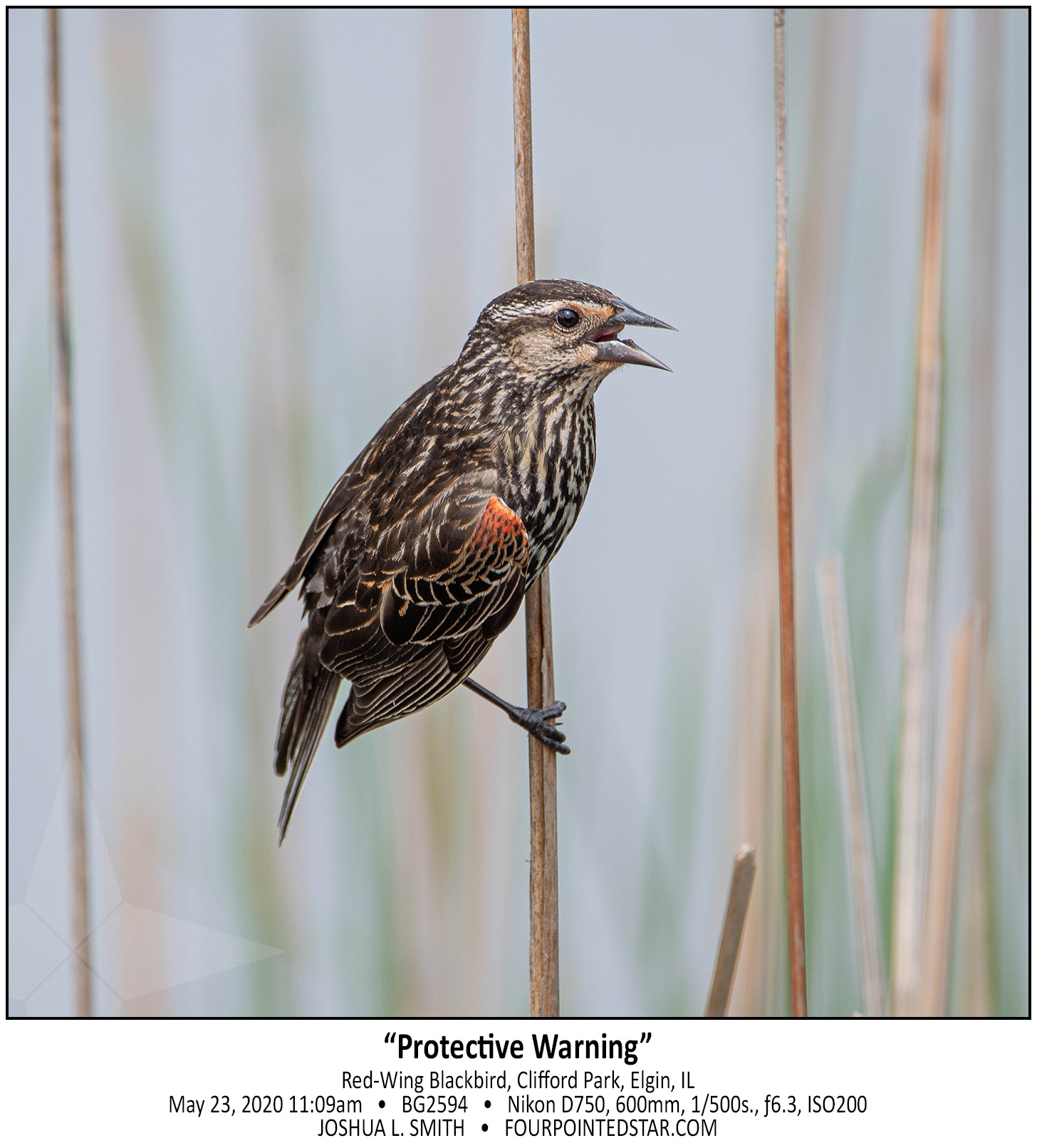 BG2594 200523 110947