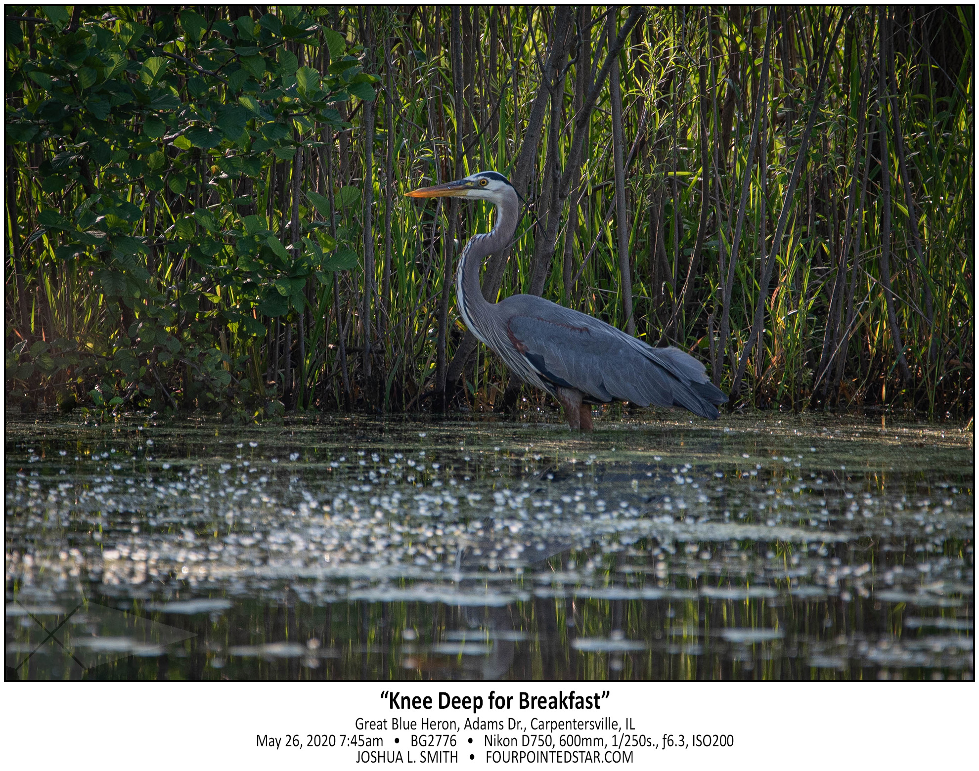 BG2776 200526 074517