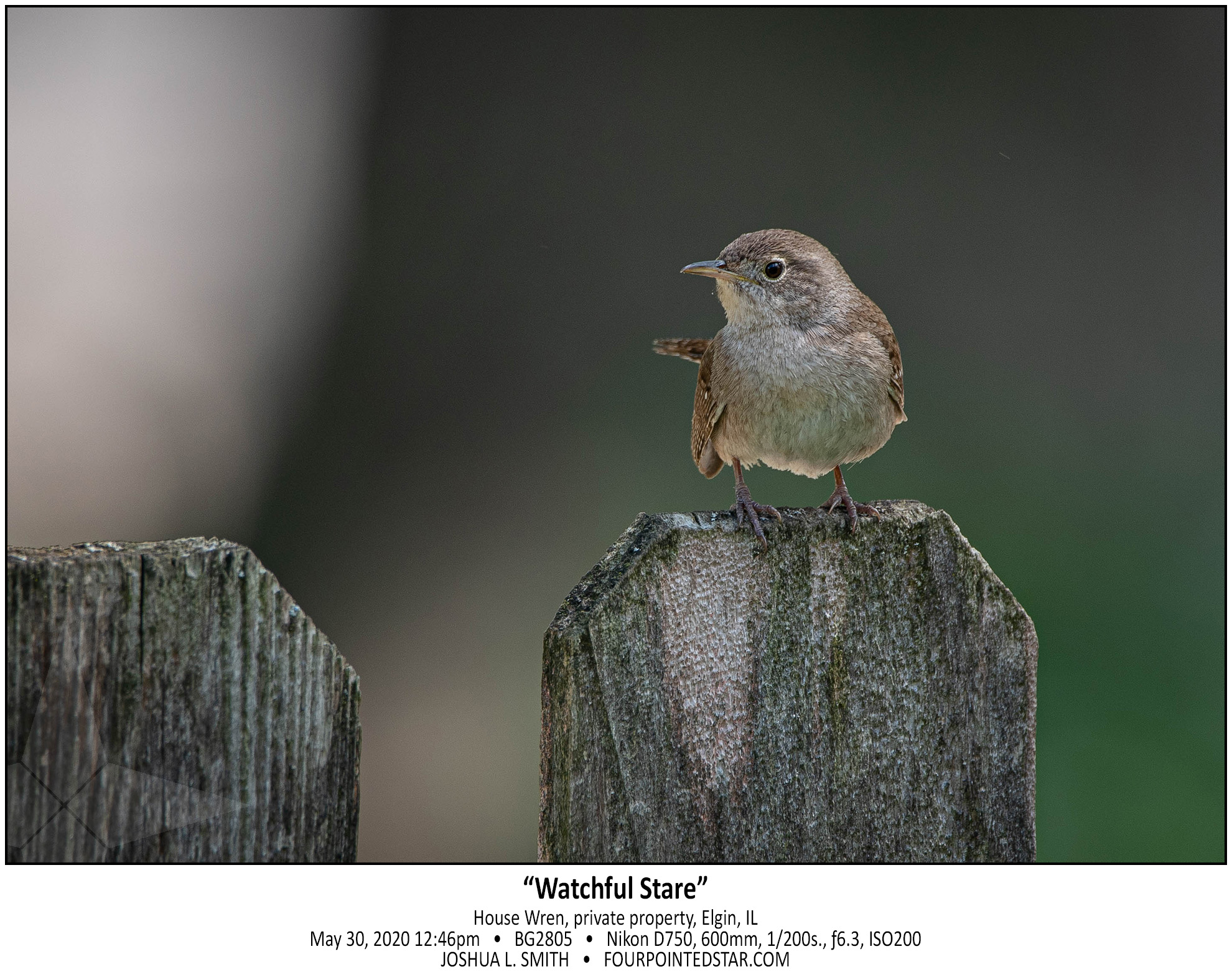 BG2805 200530 124642