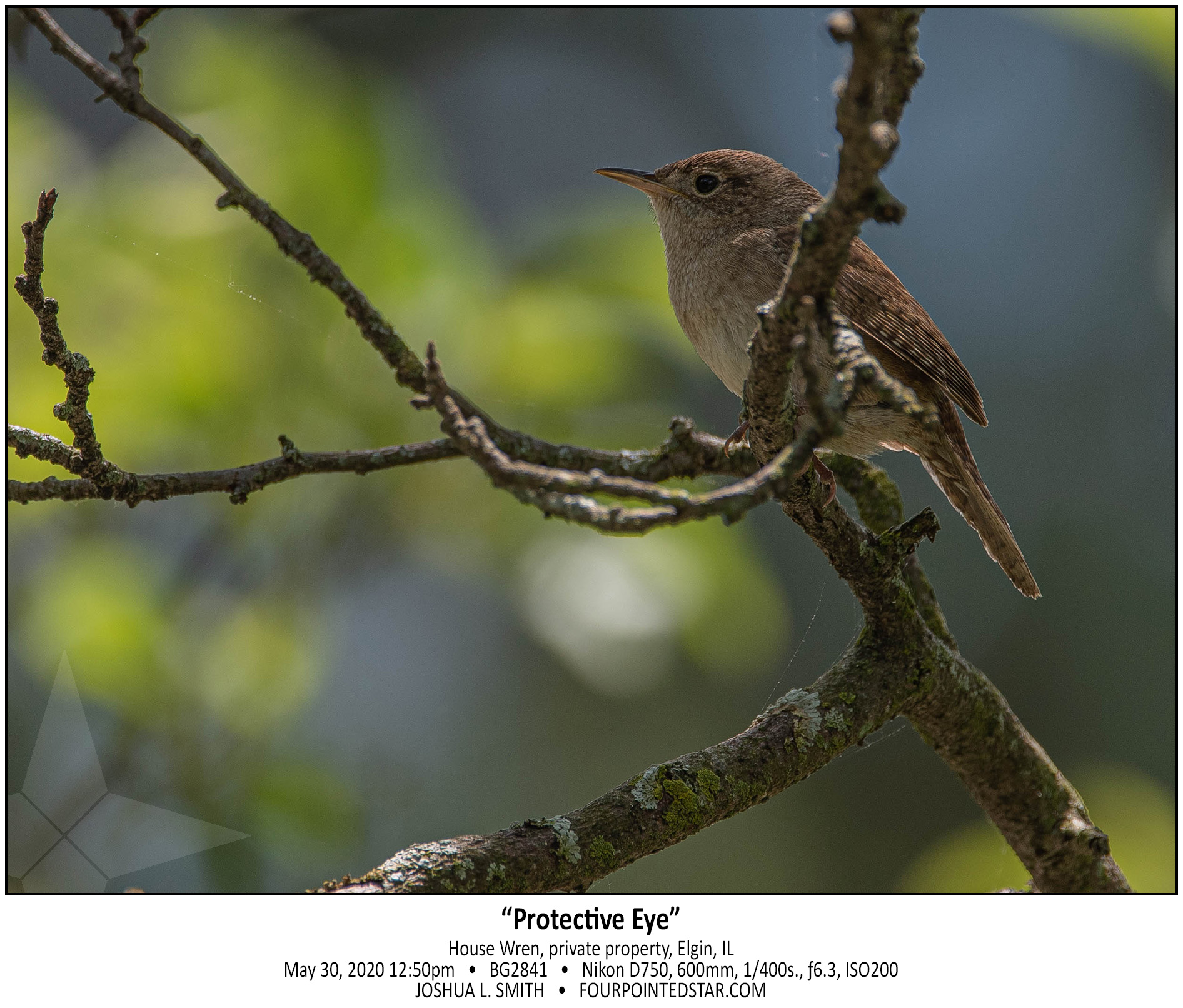 BG2841 200530 125039