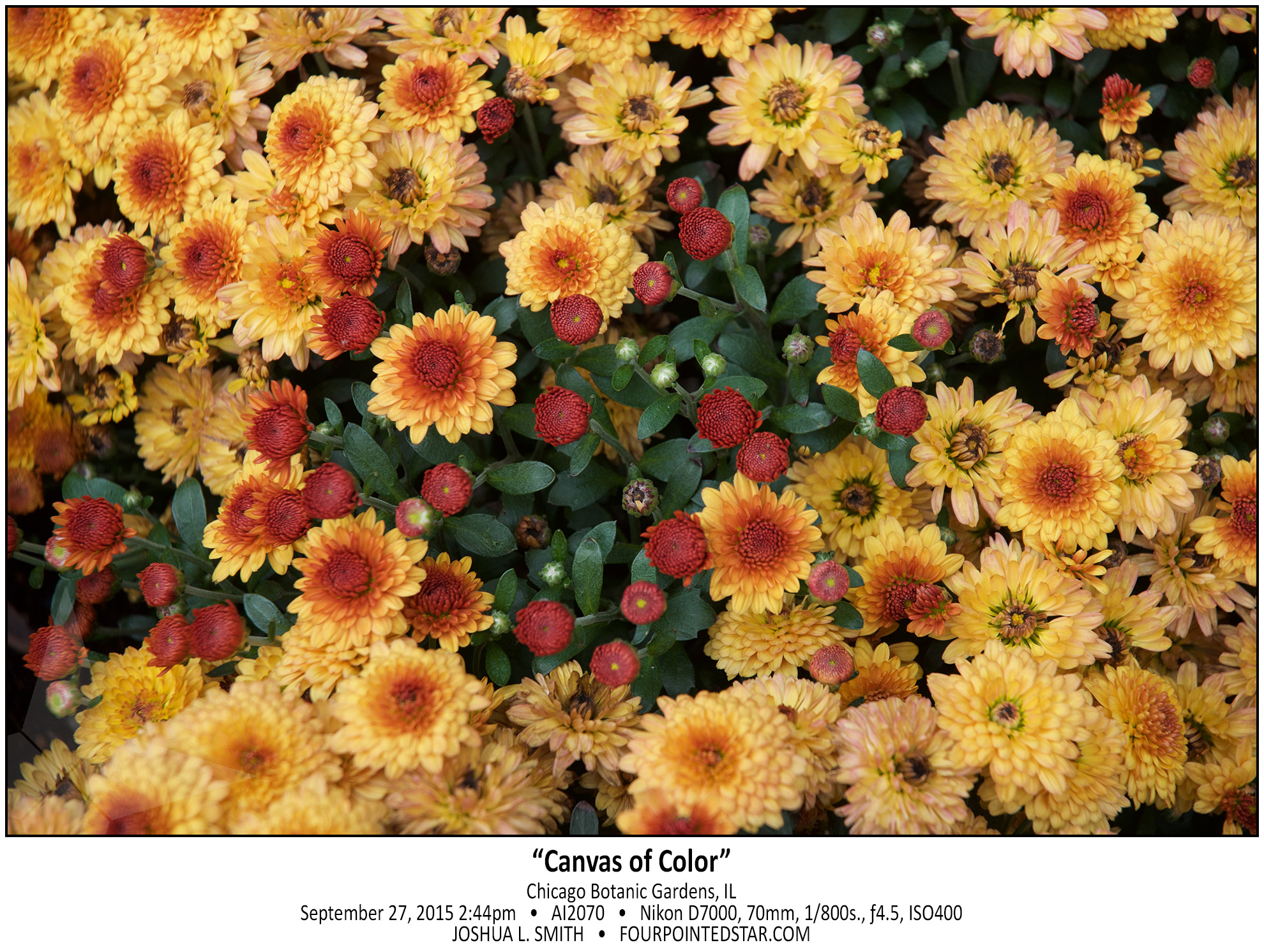 AI2070 150927 144451