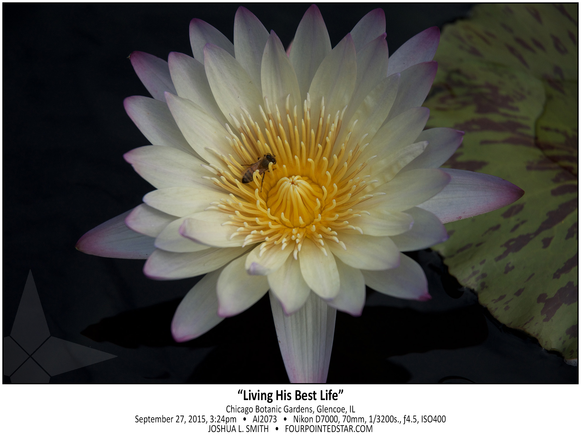 AI2073 150927 152451