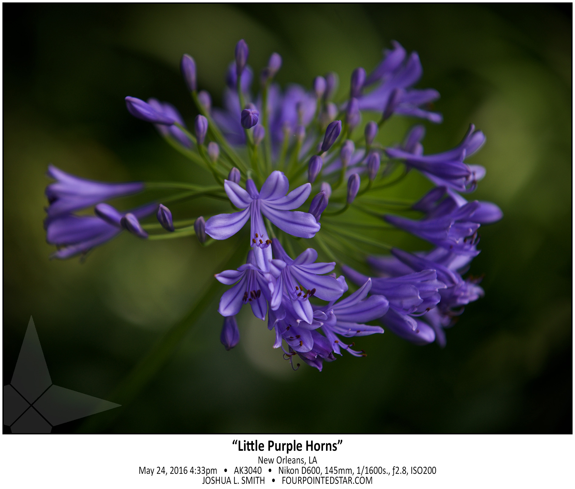 AK3040 160524 154243