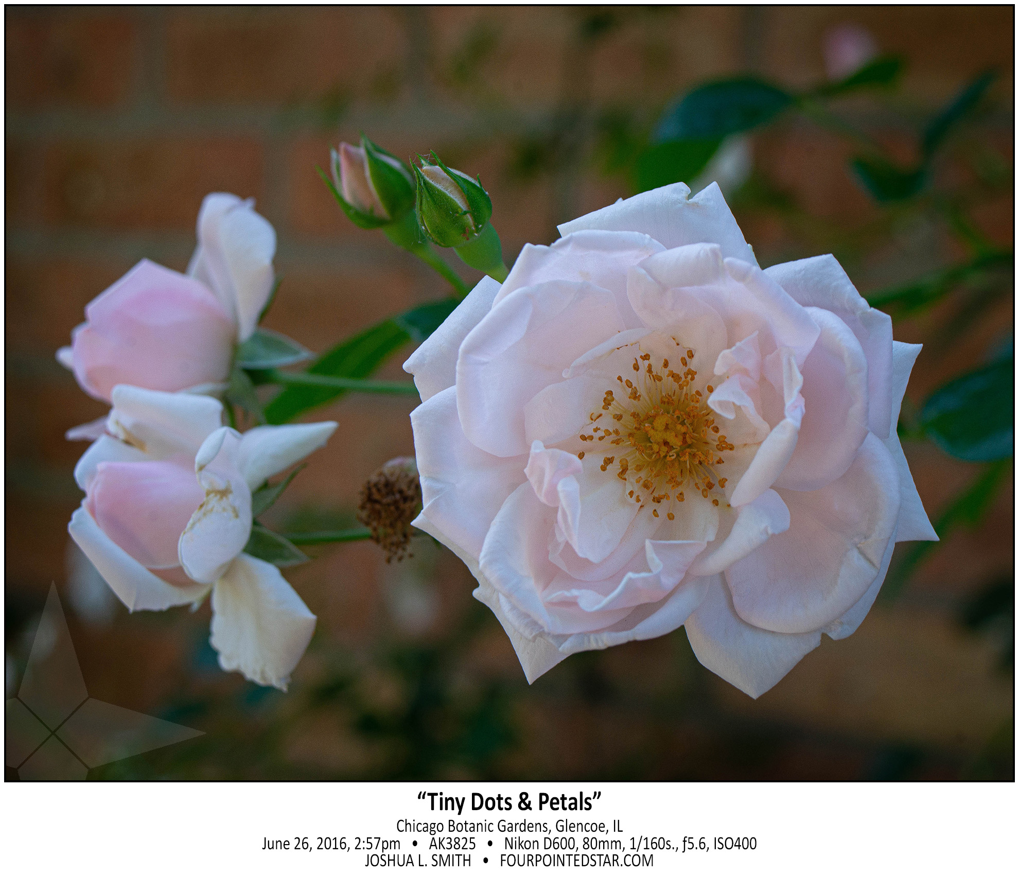 AK3825 160626 145700