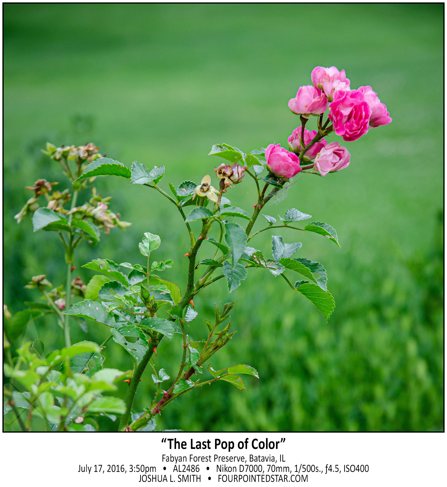 AL2486 160717 155033